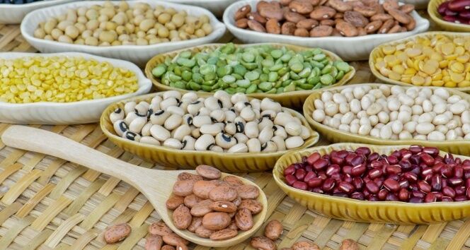 Denizli Haber Gıda Tefenlili Açıklama (2)