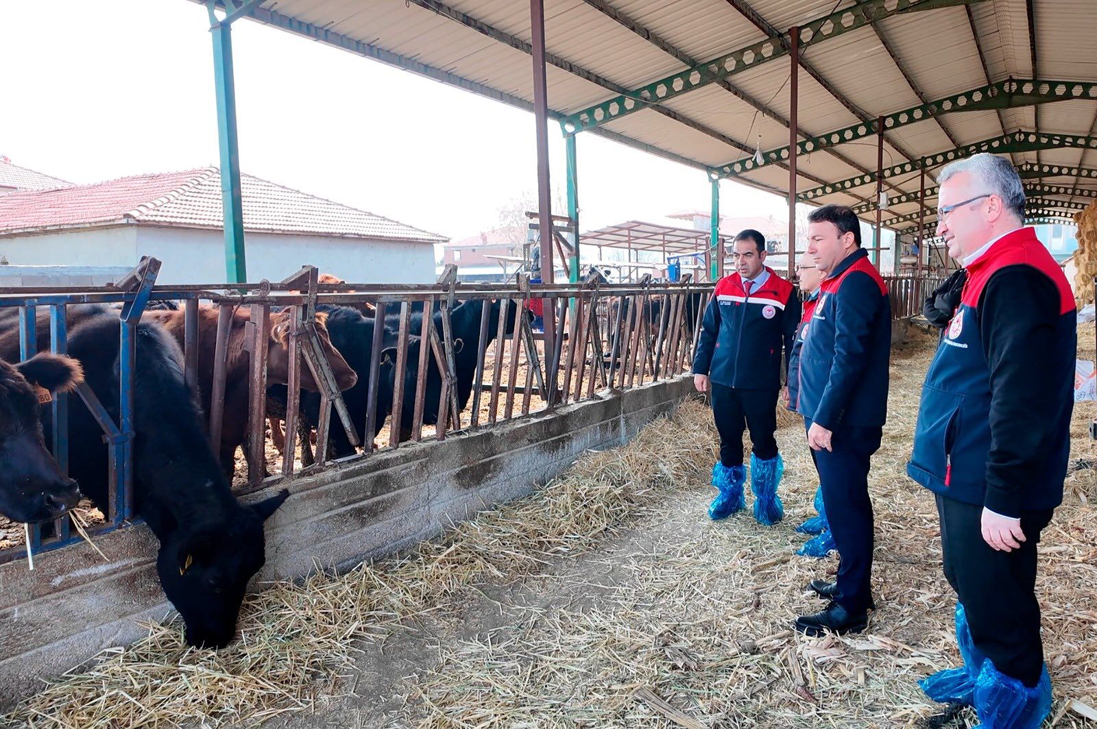 Denizli Haber Hayvancılıkdestek8