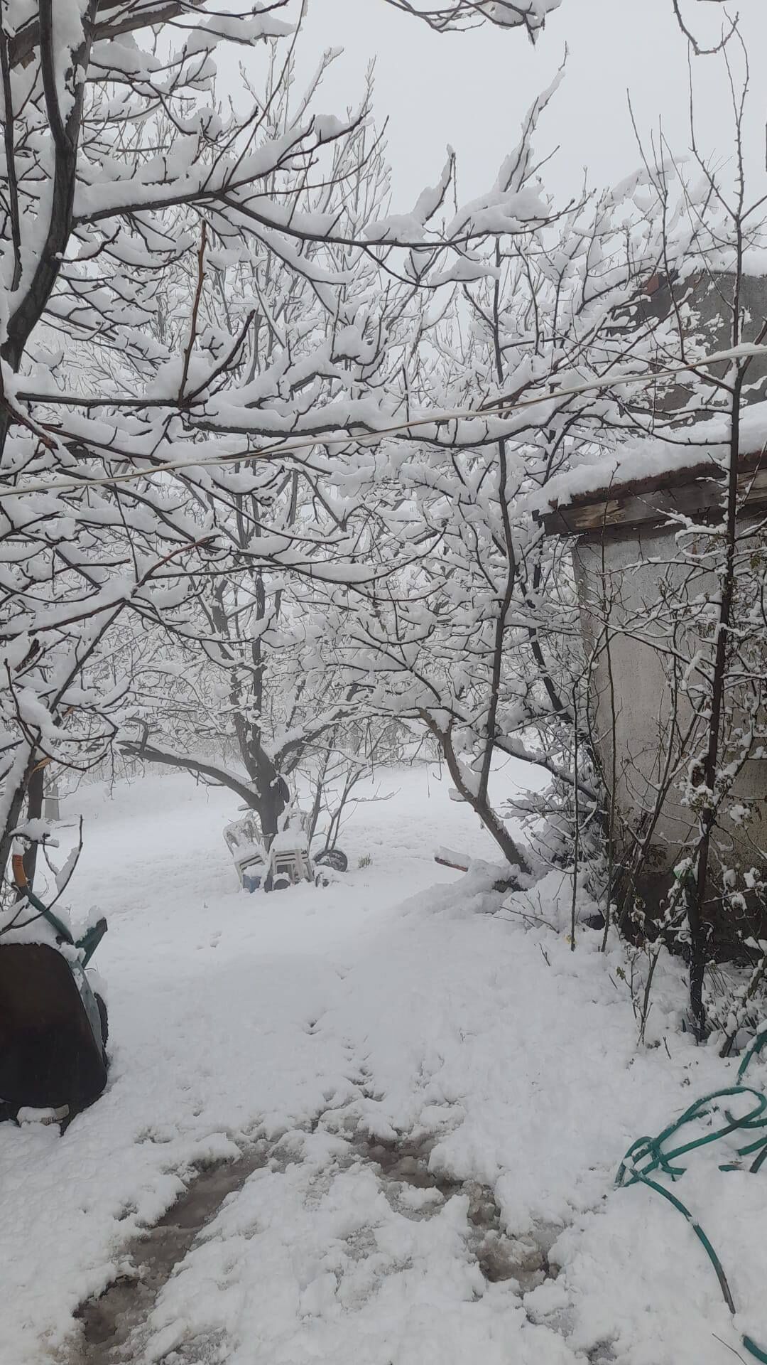 Denizli Haber Kar Yağışı-4