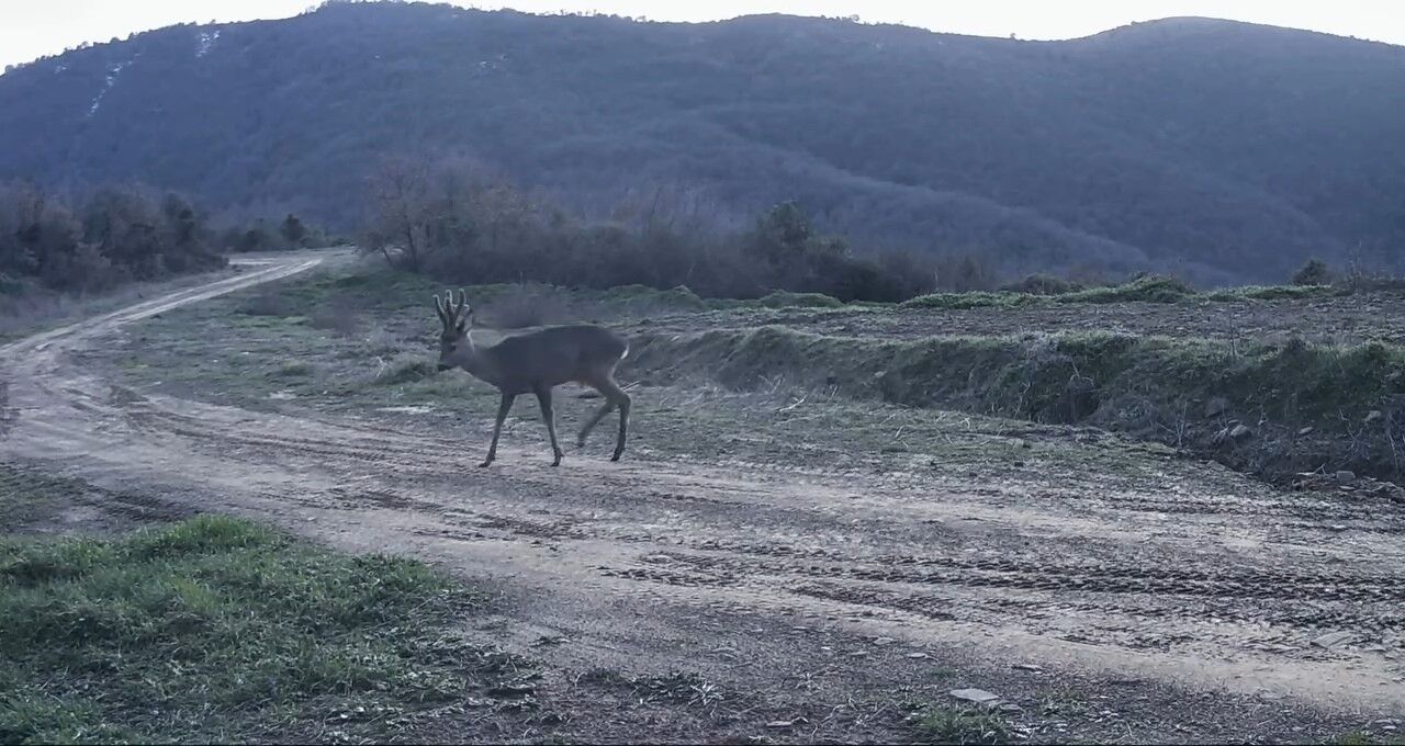 Denizli Haber Karaca2-2