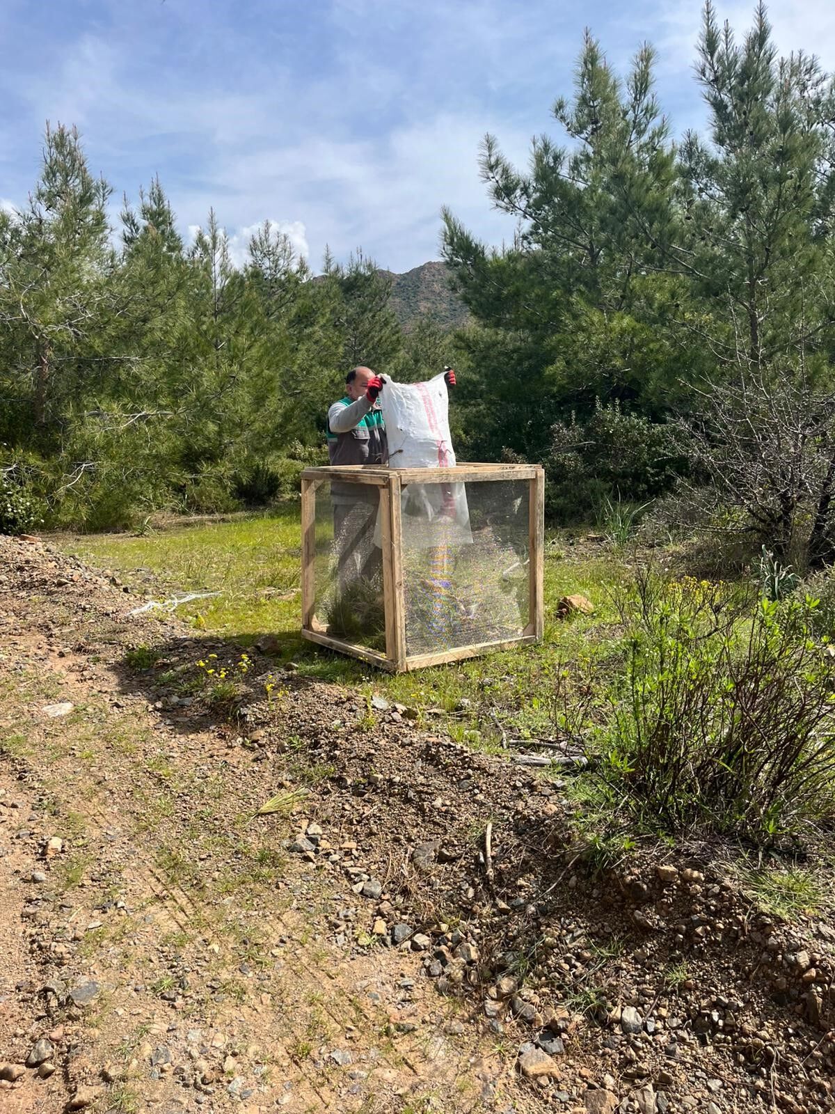 Denizli Haber Keseböceği (1)