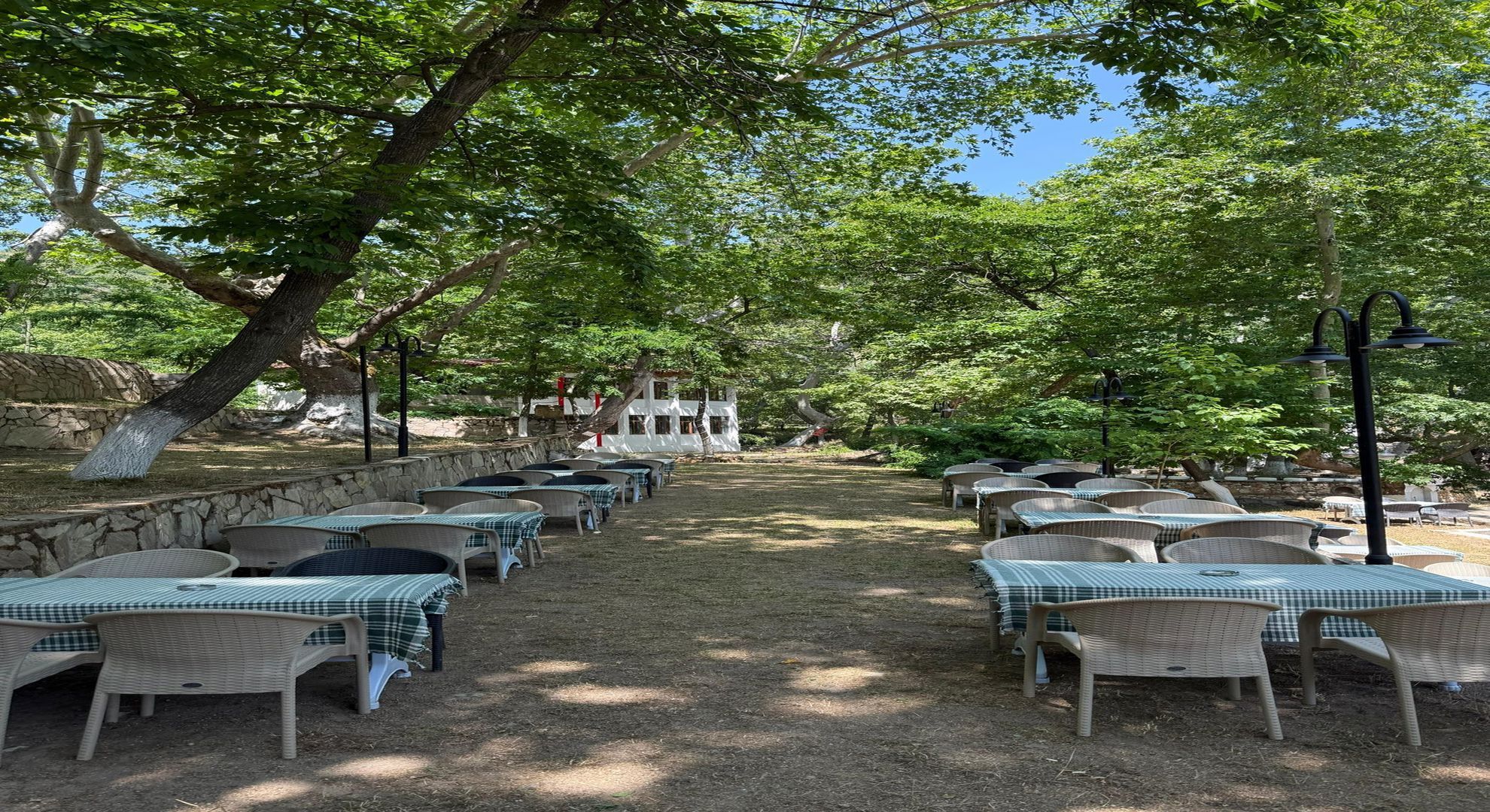 Denizli Haber Kestane Deresi (2)