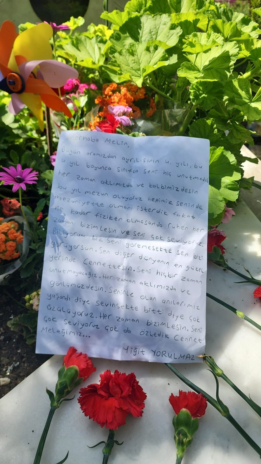 Denizli Haber Köpek Saldırısı