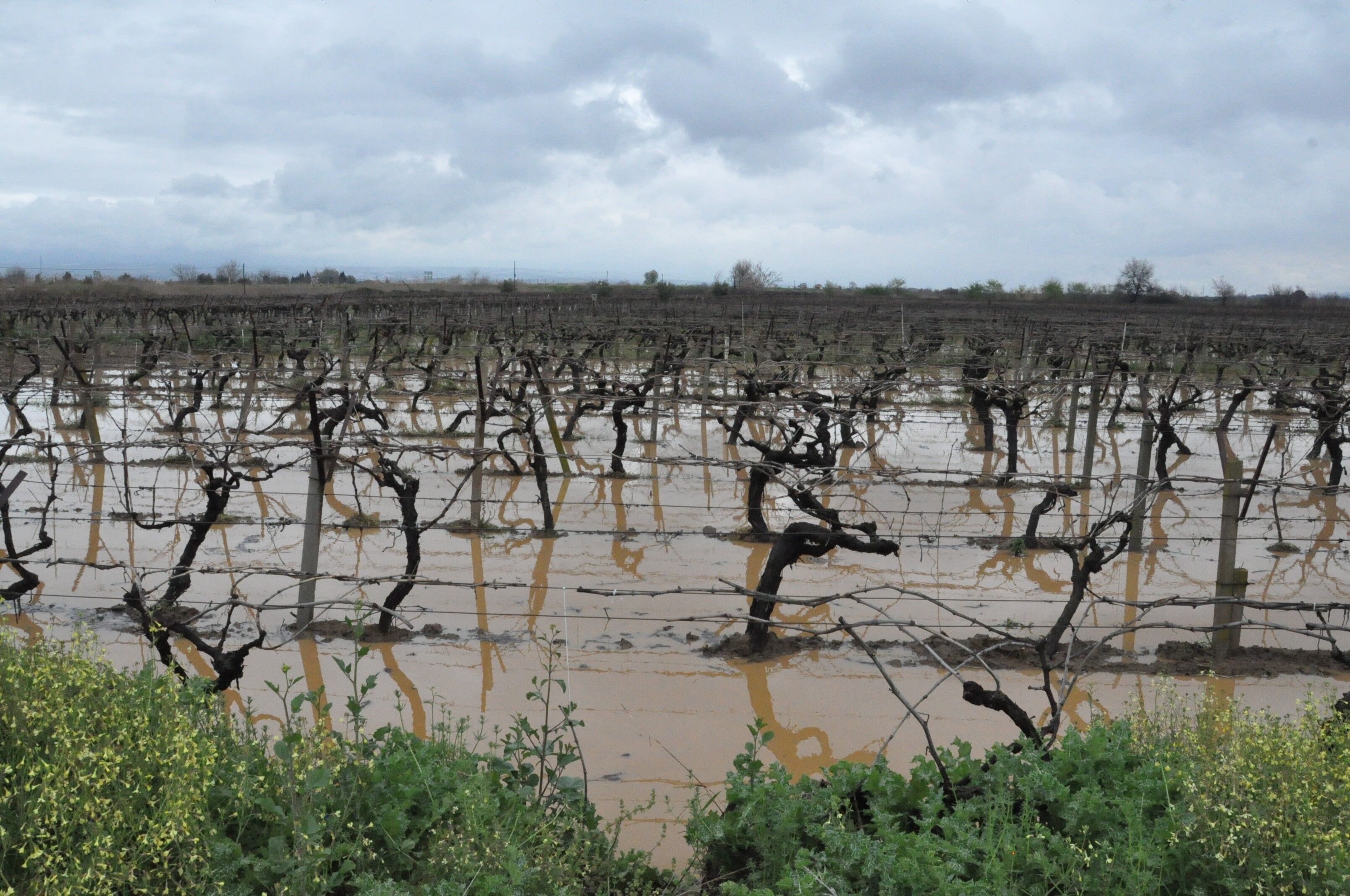 Denizli Haber Manisa Yağış (3)