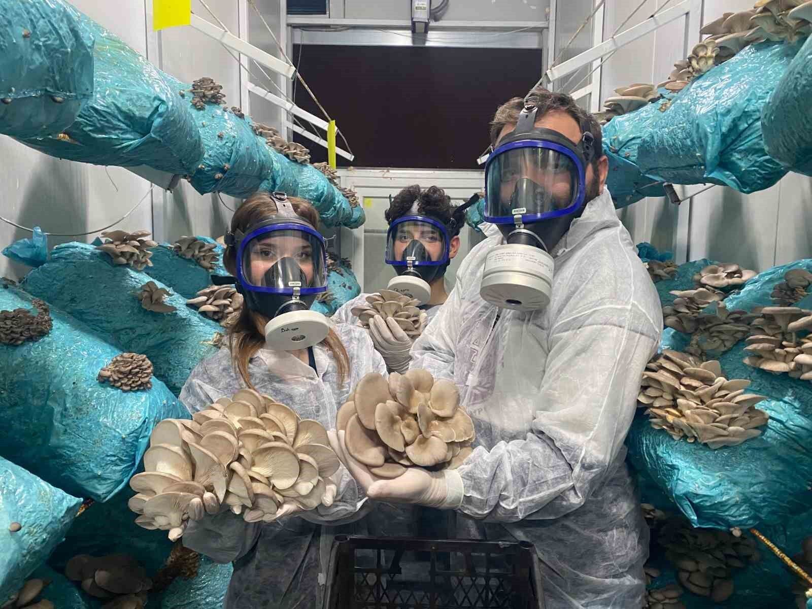 Denizli Haber Mantar-2