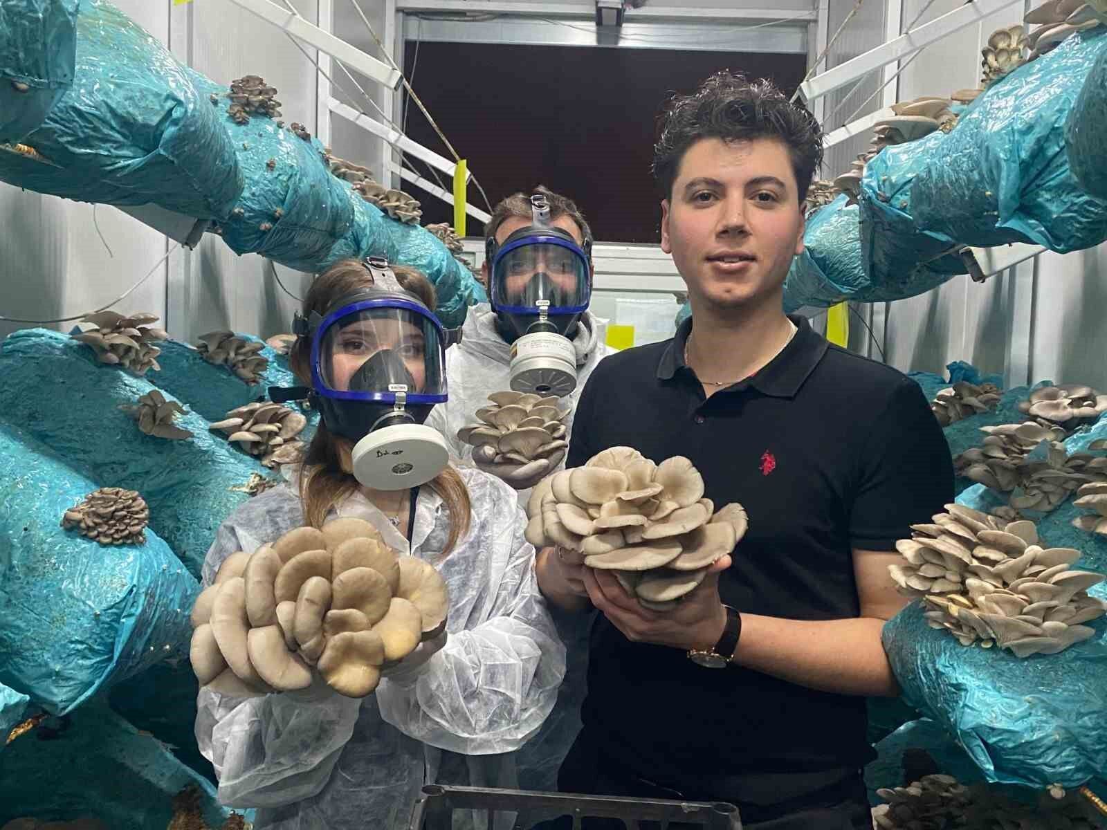 Denizli Haber Mantar2-1