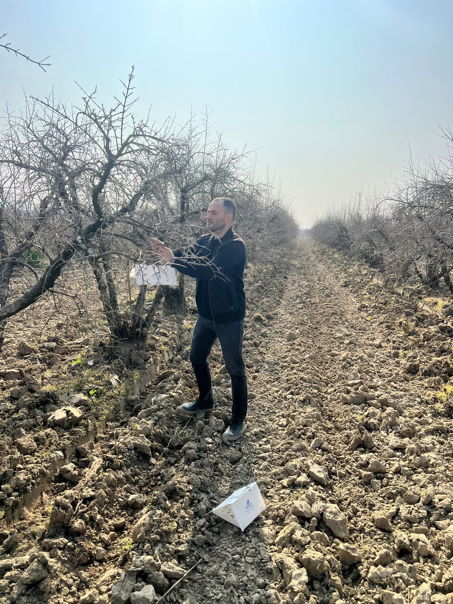 Denizli Haber Mücadele-2