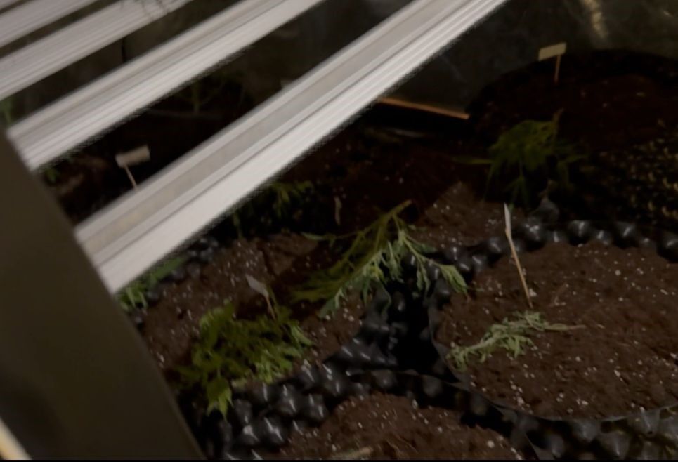 Denizli Haber Operasyonn-14