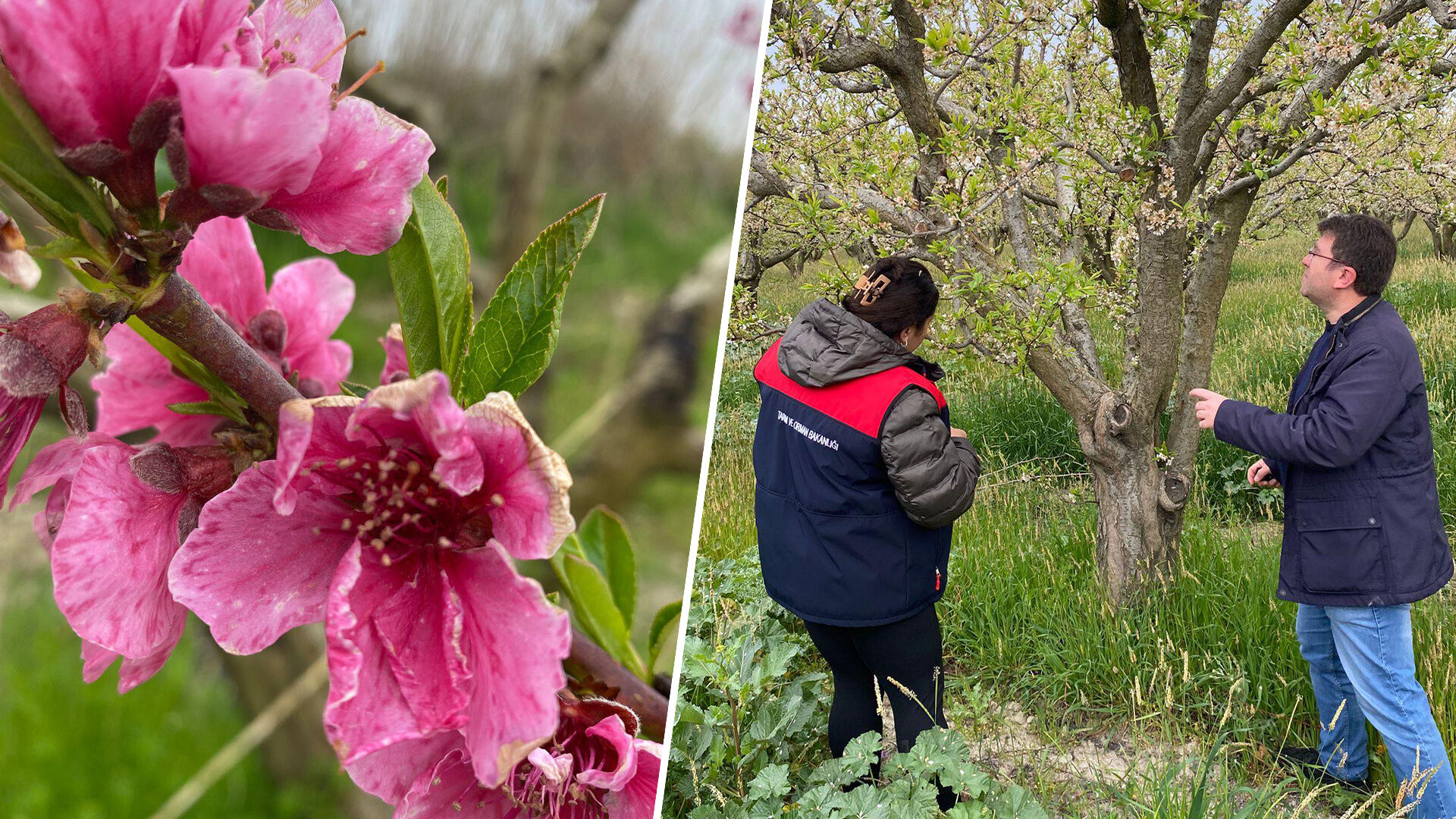 Denizli Haber Tarım Denetim (2)