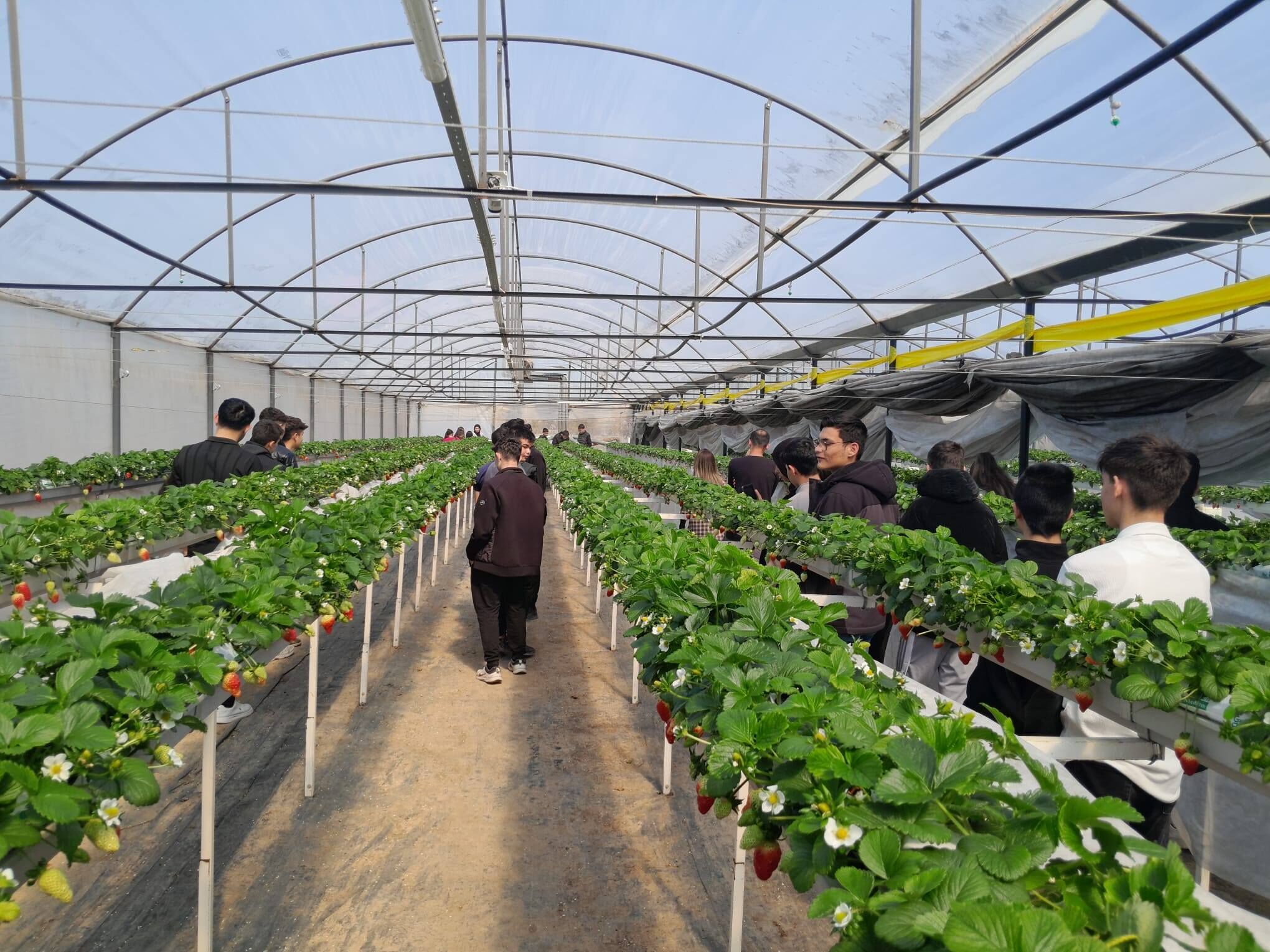 Denizli Haber Tarım5-4