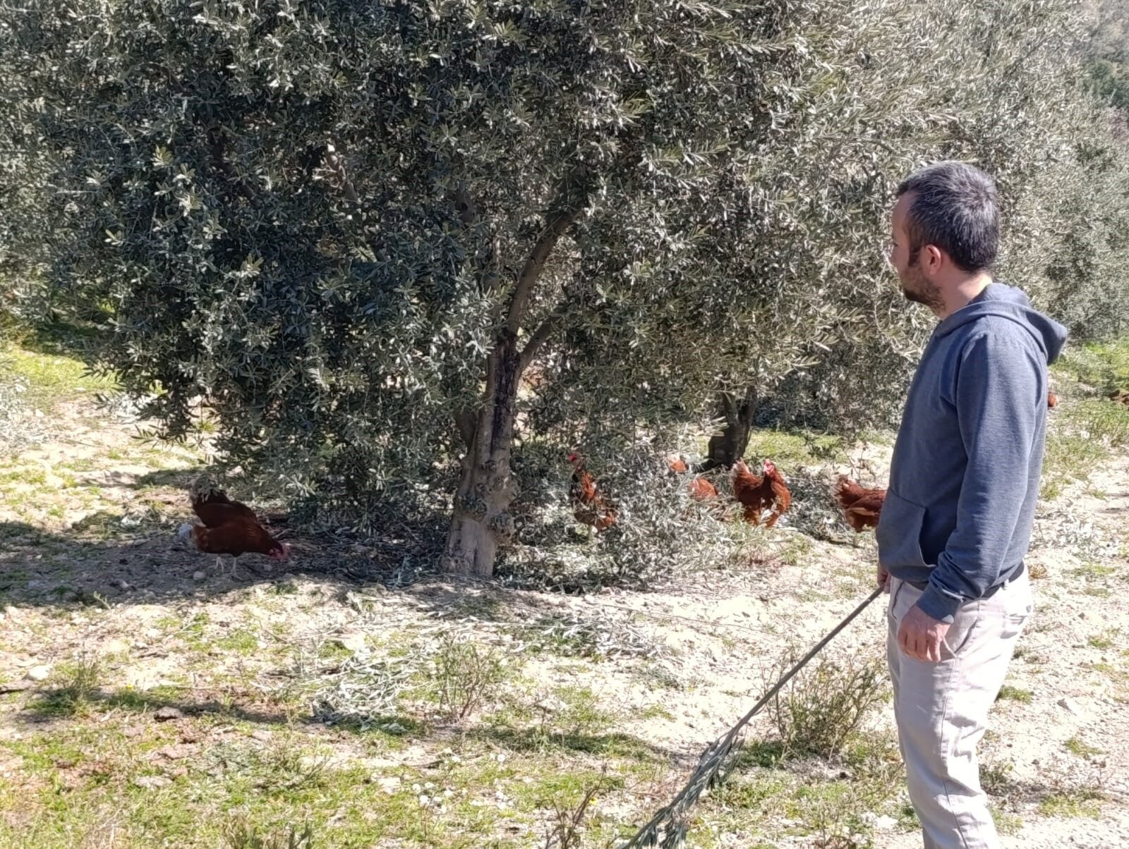 Ev Kiraları Şehirden Kaçırdı, Köyde Gezen Tavuk Çiftliği Kurdu! (6)