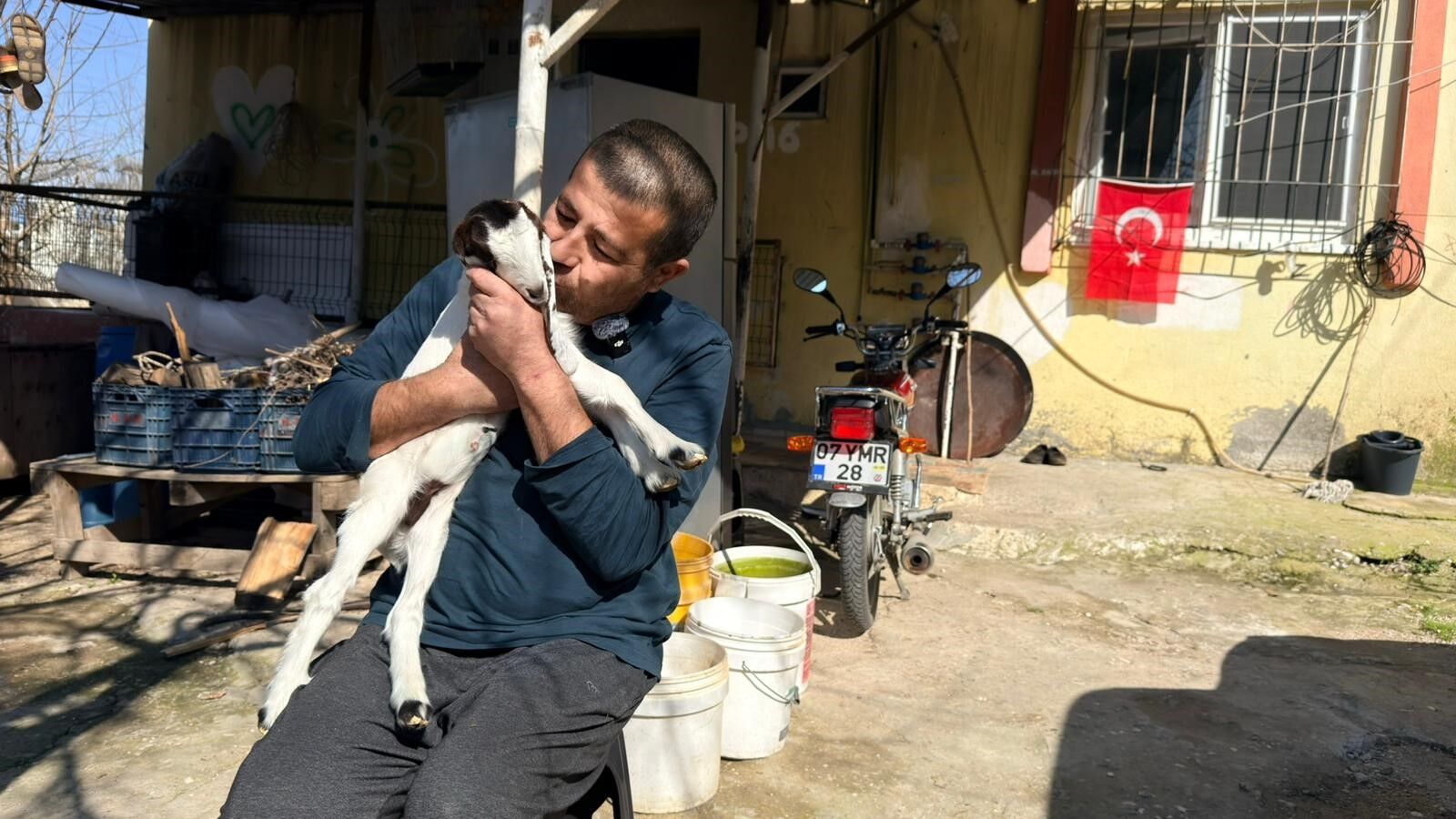 Keçilerine Olan Sevgisini Teknolojiyle Birleştirdi, Anbean Onları Izliyor (3)