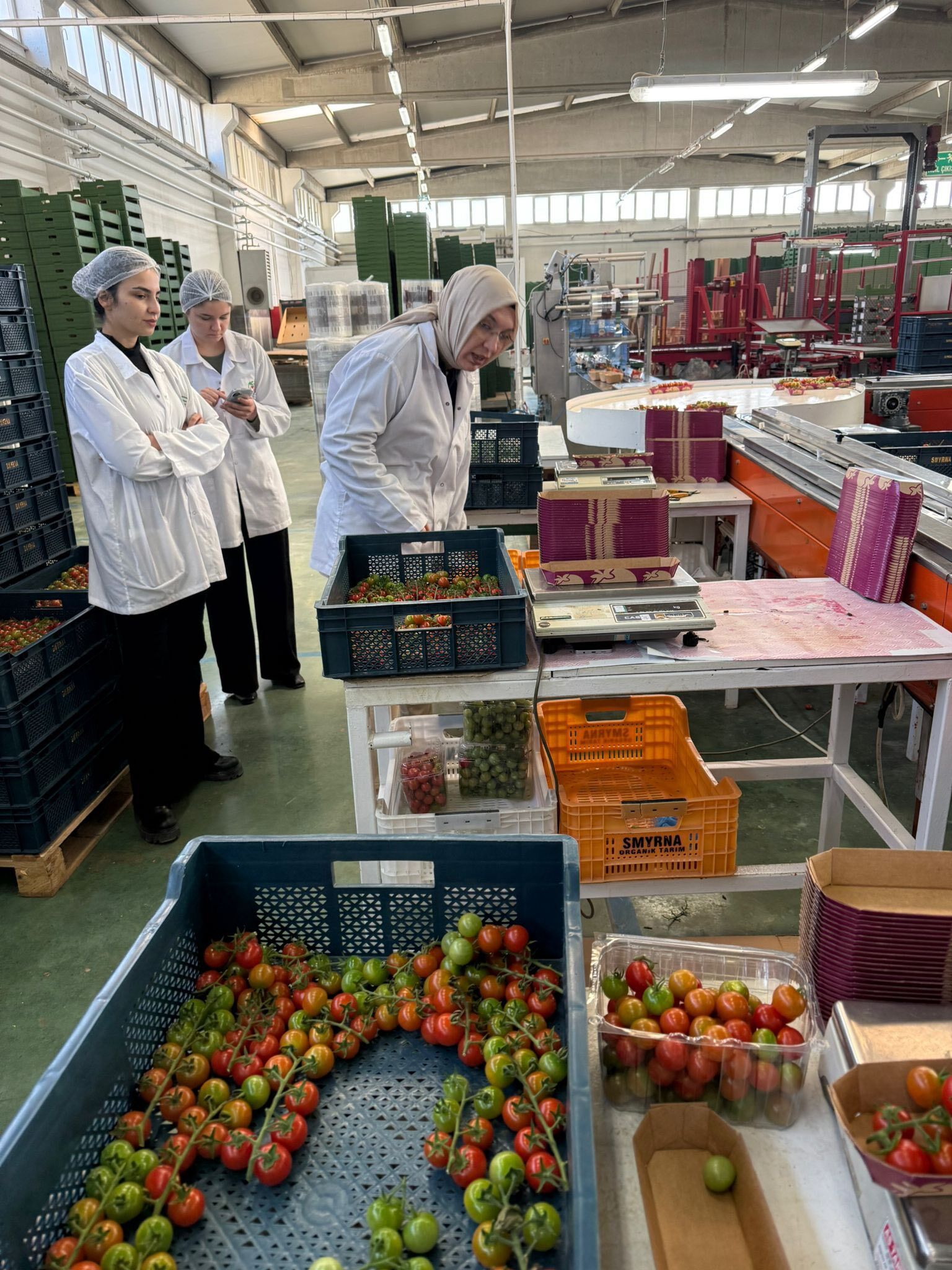 Sarayköy’de Gıda Güvenliği Seferberliği Sofralar Daha Güvenli! (3)