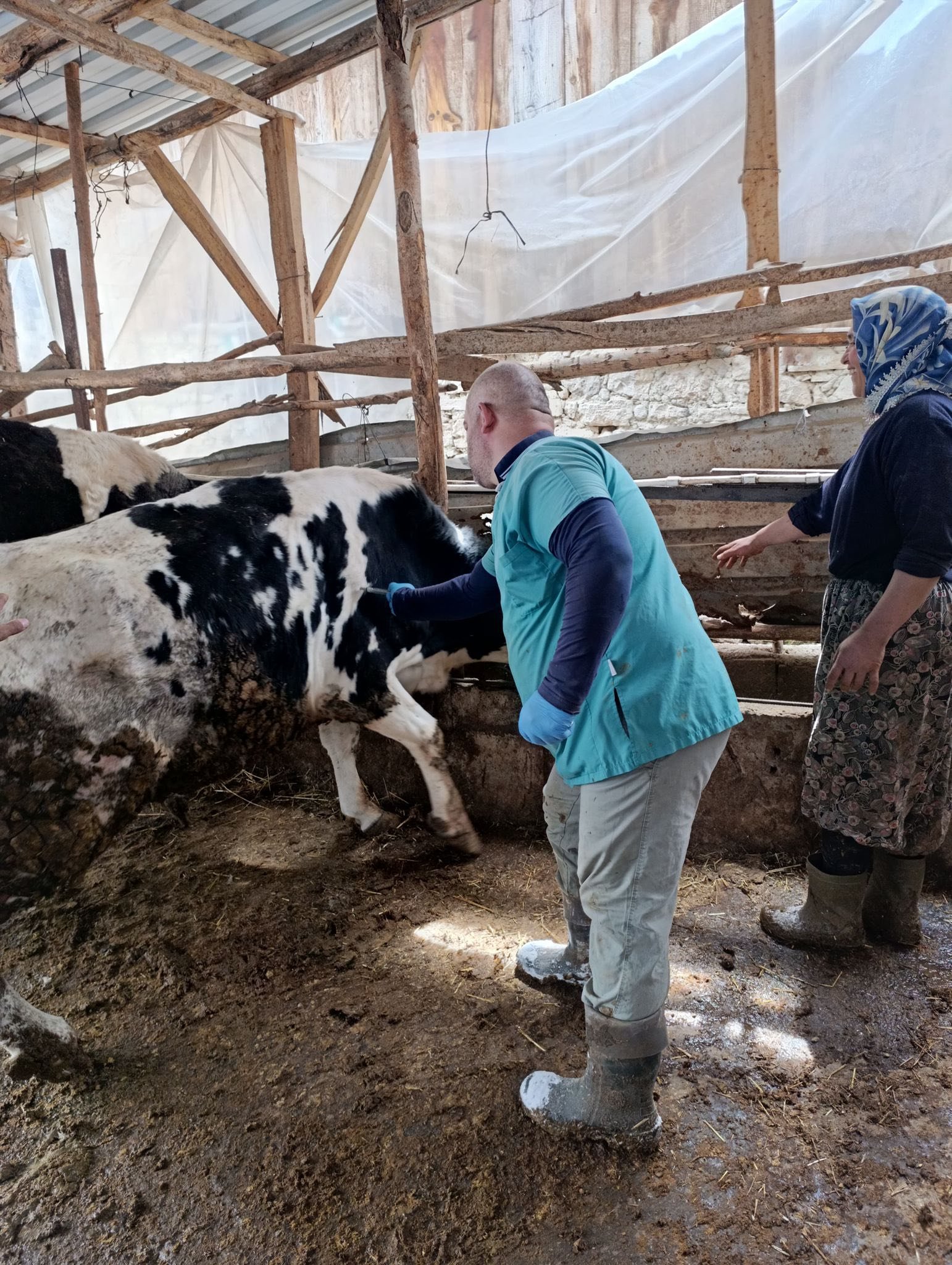 677931621 1440724254734919 7652287800131860835 N