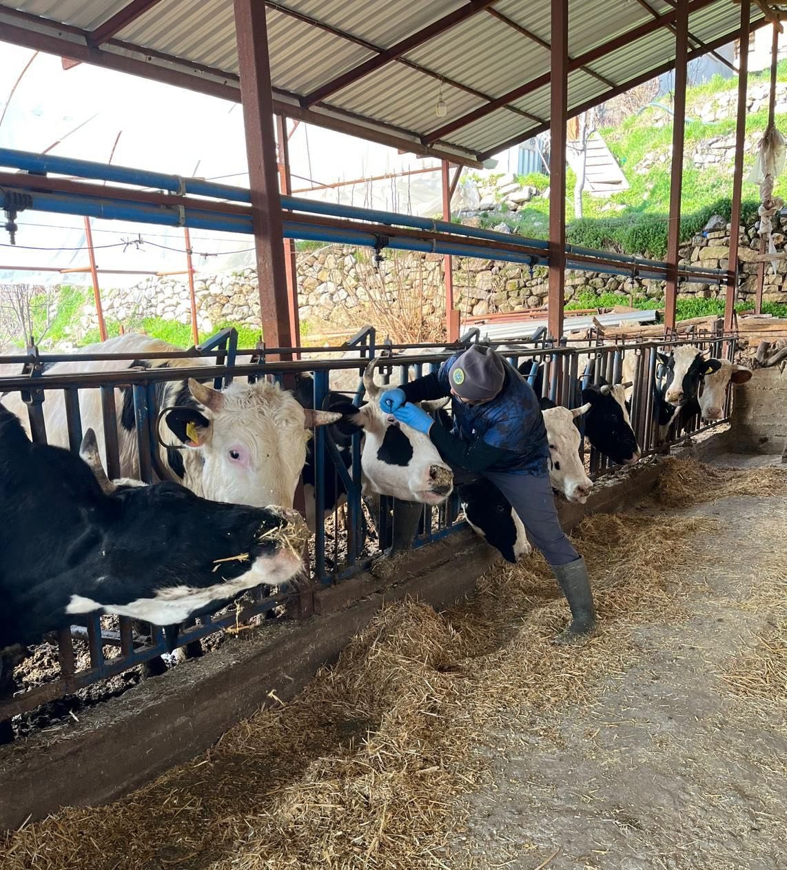 678474027 1440724244734920 881627119660856042 N