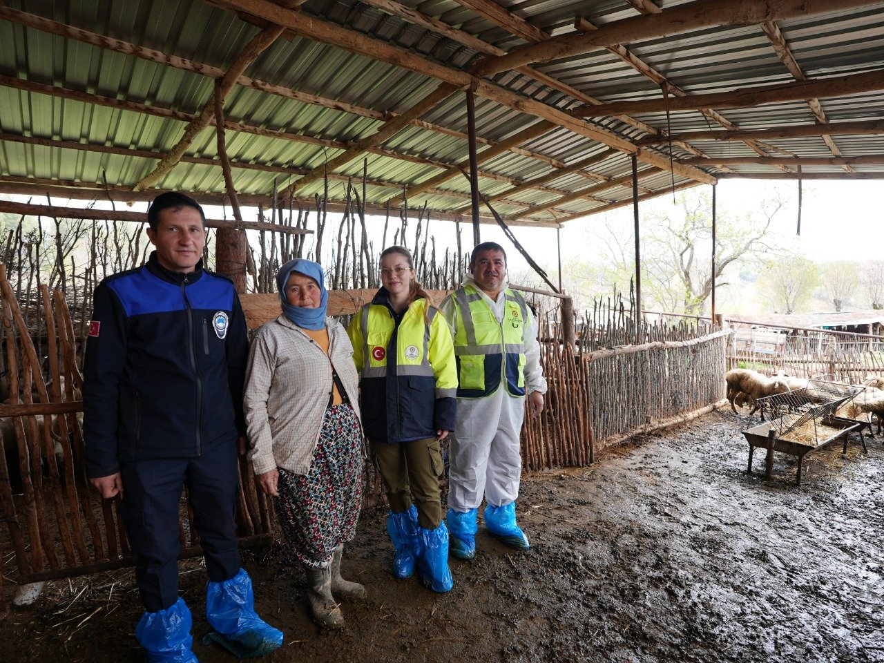 Başkan Çavuşoğlu’nun Hayvancılık Hamlesine Üreticiden Tam Not (4)