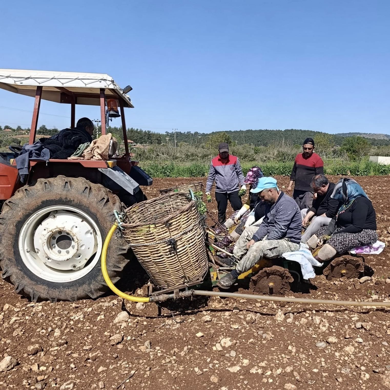 Beyağaç’ta Tütünün Kalbi̇ 500 Tl İçi̇n Atiyor! (1)