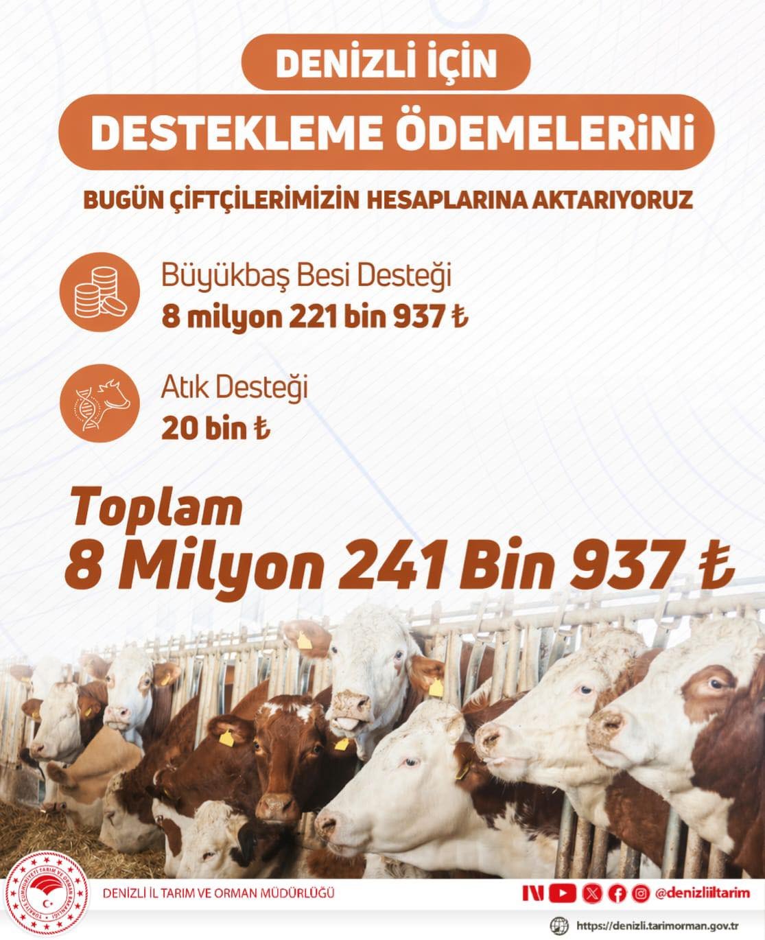 Denizli Ahber Desteklemee