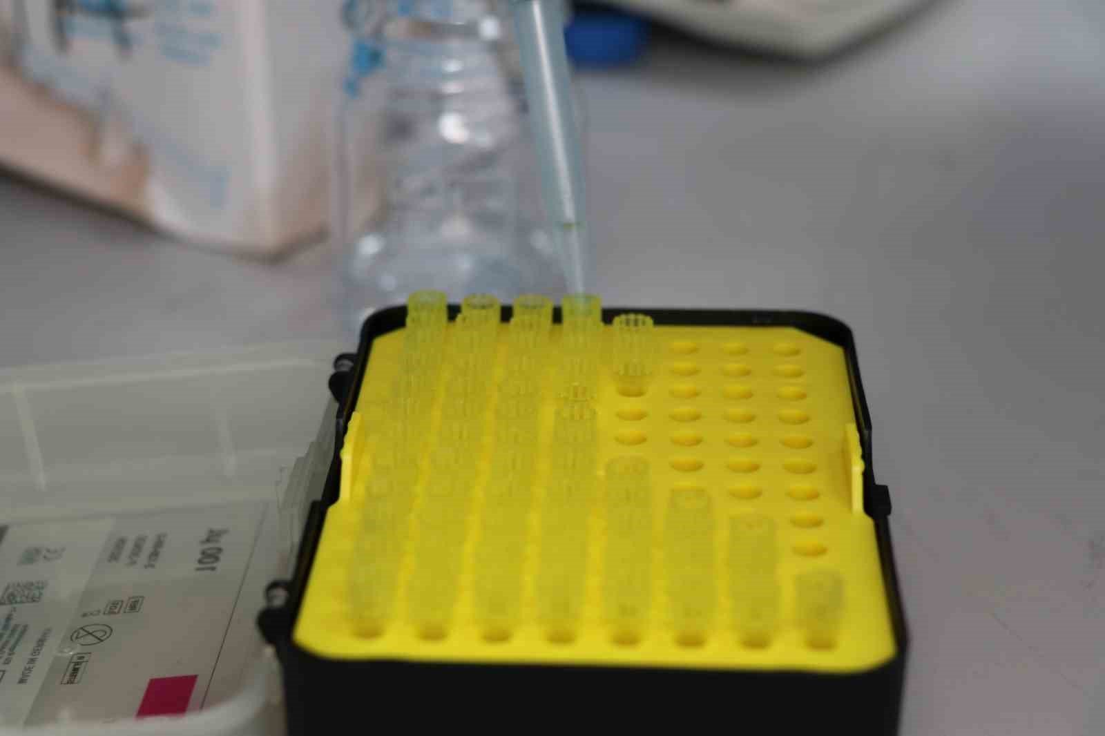 Denizli Ahber Yarabandı