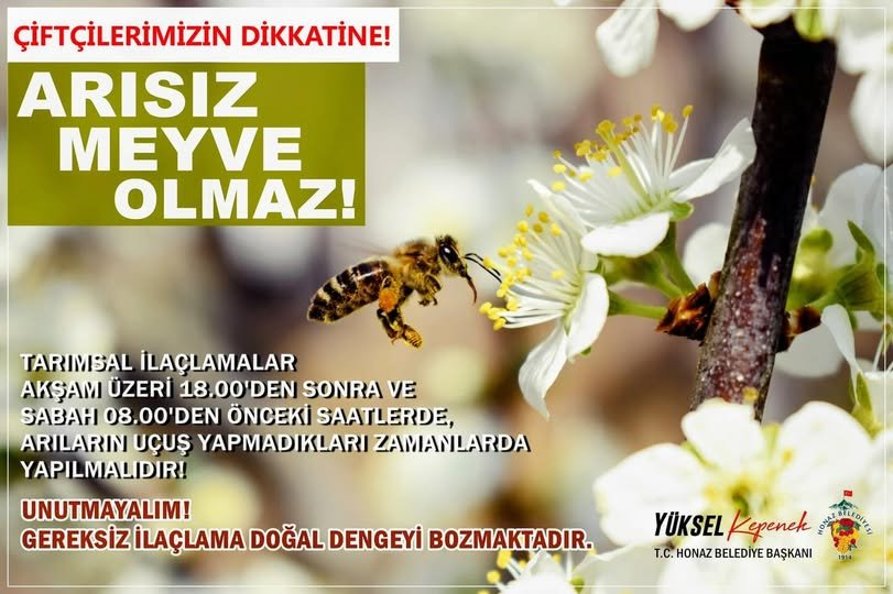 Denizli Haber Arı Uyarı