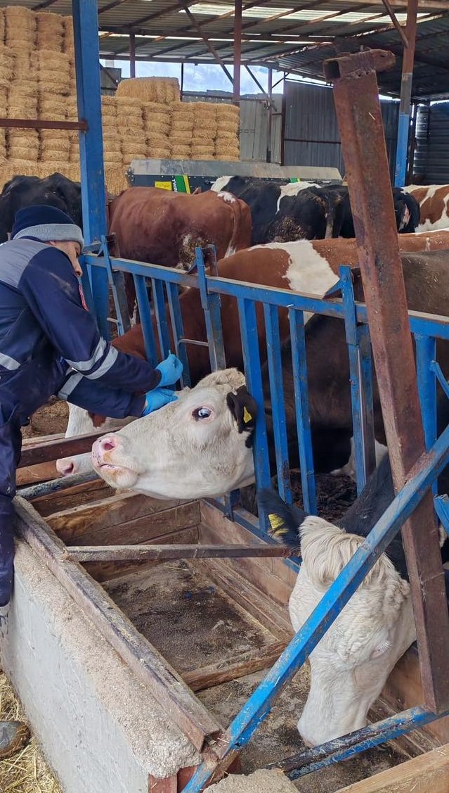 Deni̇zli̇ Haber Aşilama (1)-1