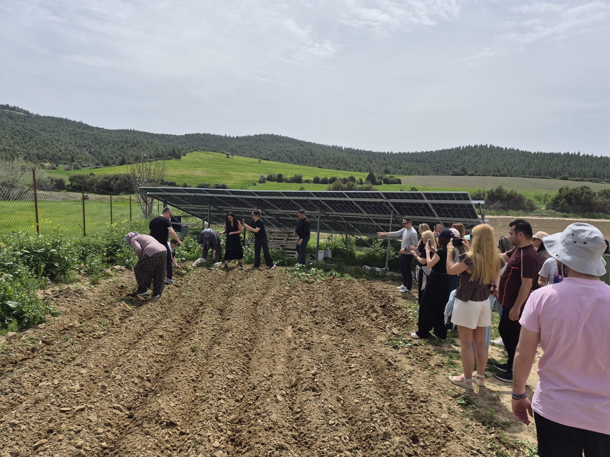 Denizli Haber Ata Tohumu Honaz (2)