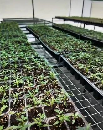 Denizli Haber Atatohumu2 (2)