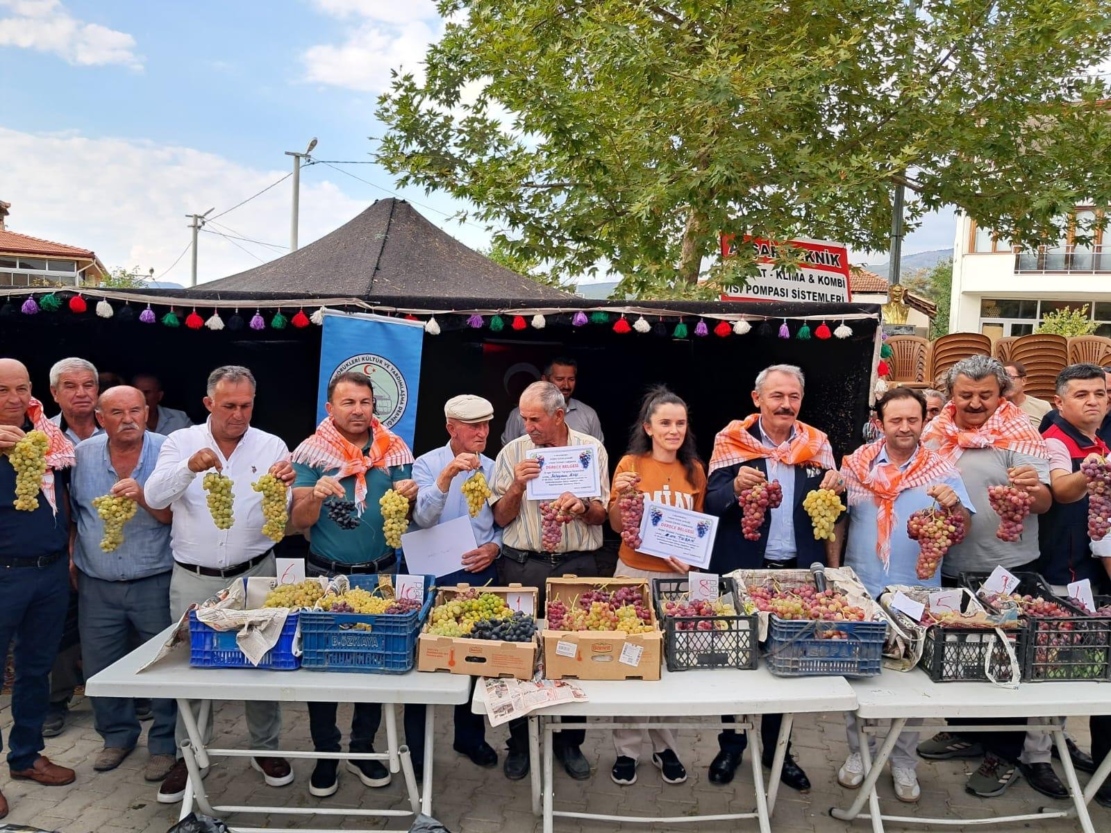 Denizli Haber Avşar Üzümü (1)