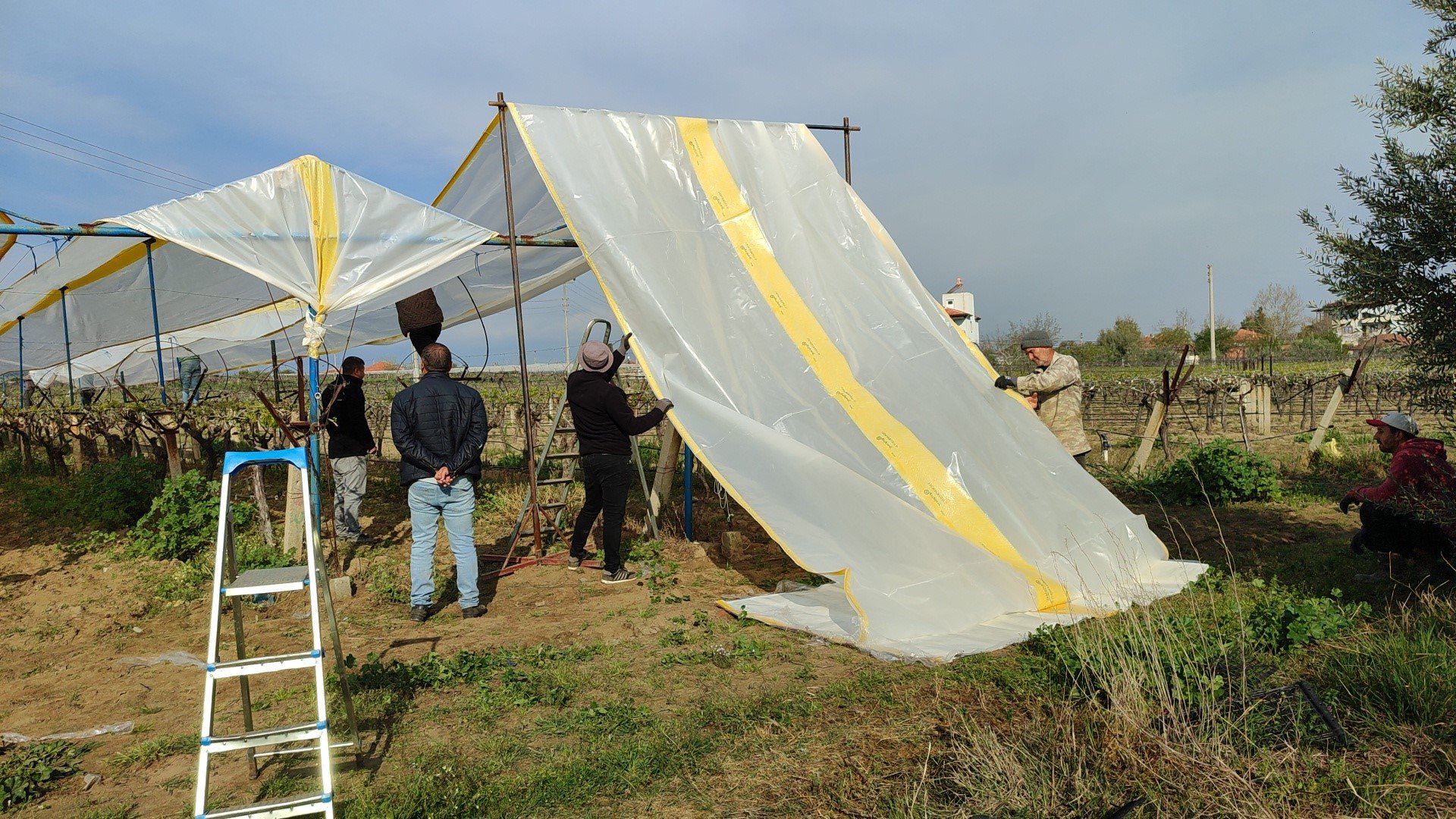 Denizli Haber Bağlar (1)-3