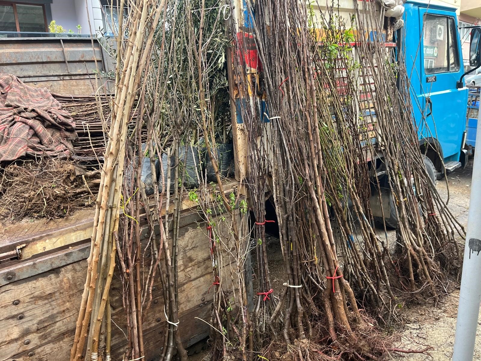 Denizli Haber Buldanağaç (2)