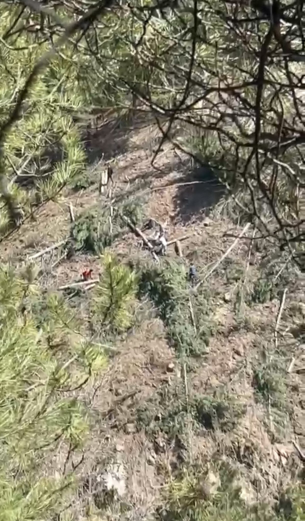 Denizli Haber Buldan’da Tartışmalı Maden Sahasında Ağaç Kesimi Başladı2