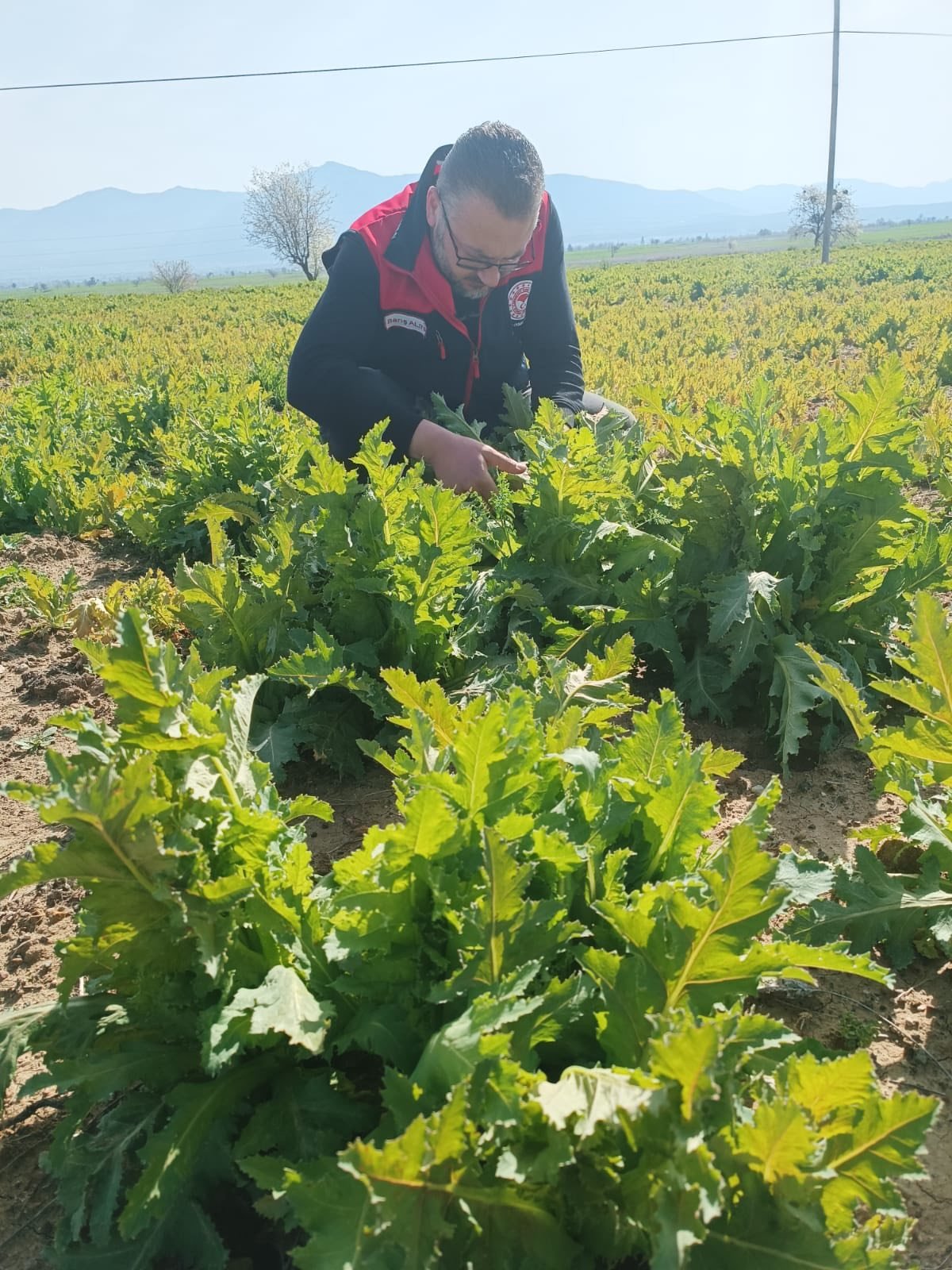 Deni̇zli̇ Haber Don Nöbeti̇ (4)