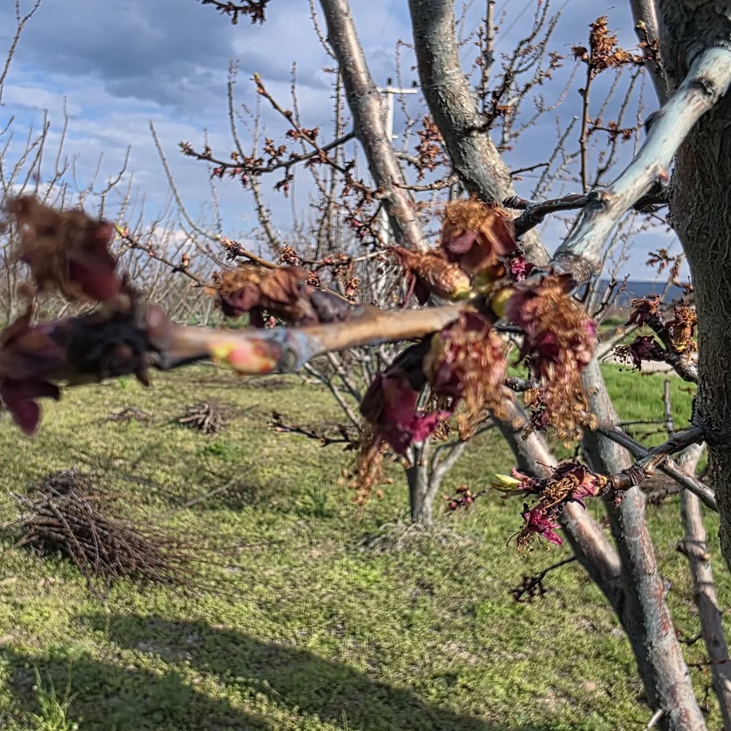 Denizli Haber Don Uyarı , (4)