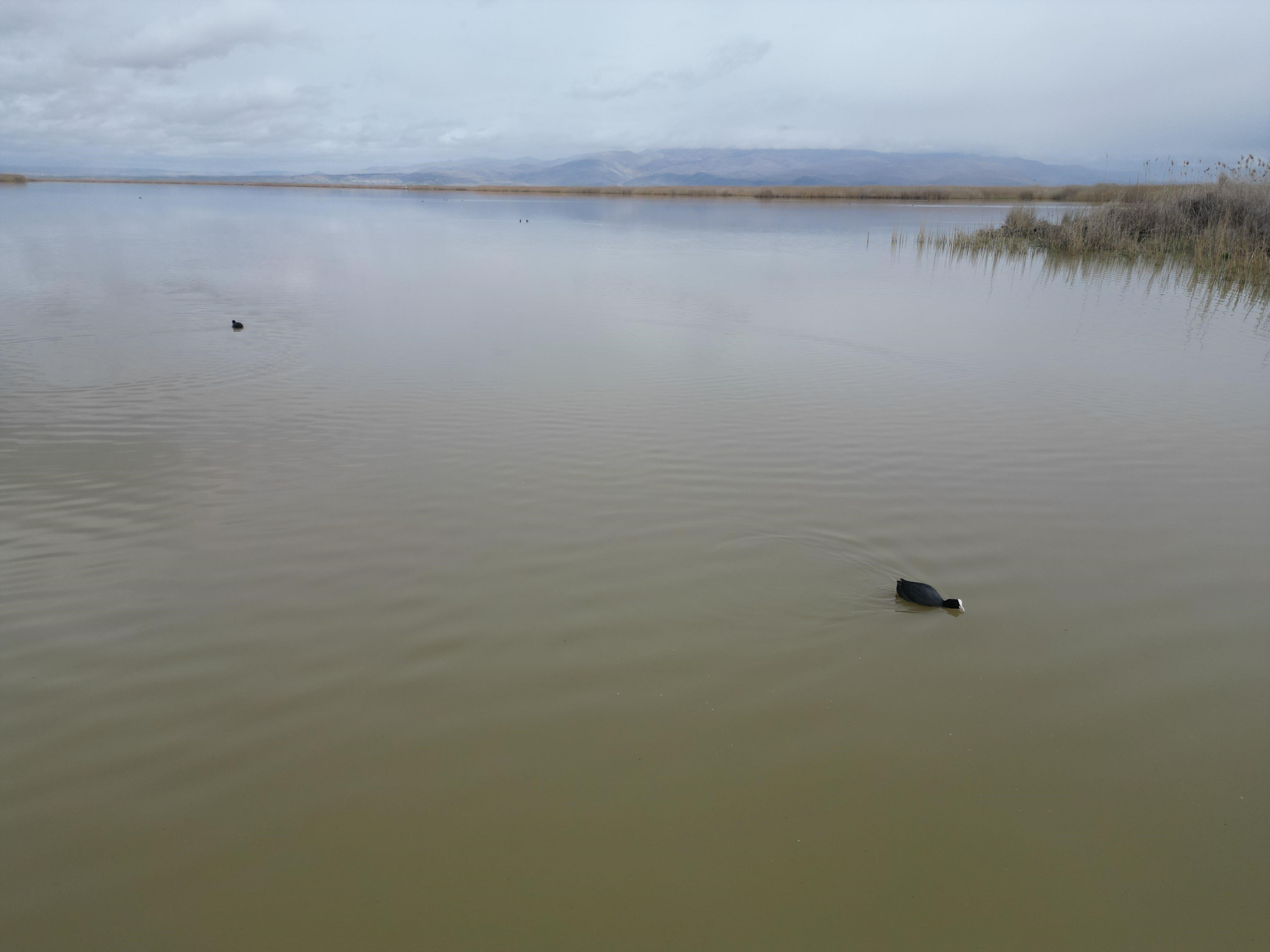 Denizli Haber Ebergölü (1)