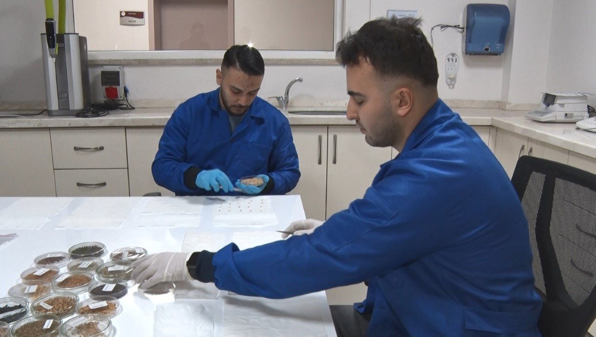 Deni̇zli̇ Haber Gida3