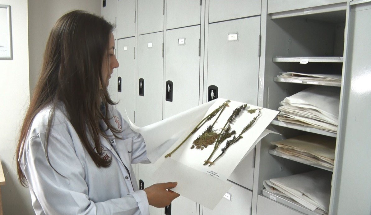 Deni̇zli̇ Haber Gida4