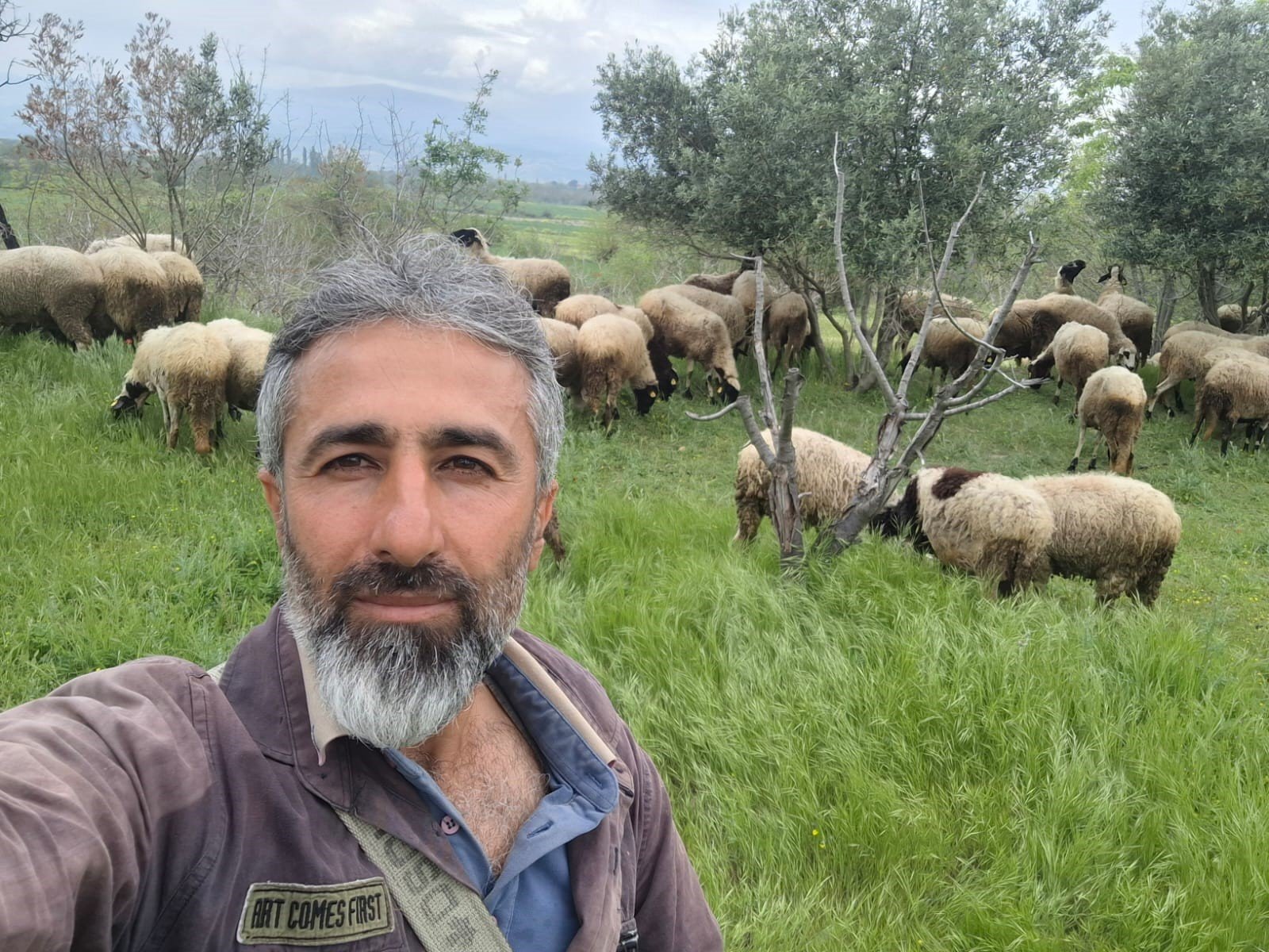 Denizli Haber Hayvancılık Kuzu (1)