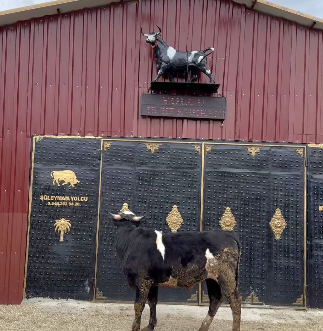 Denizli Haber Heykeli Gerçek Sandı (2)