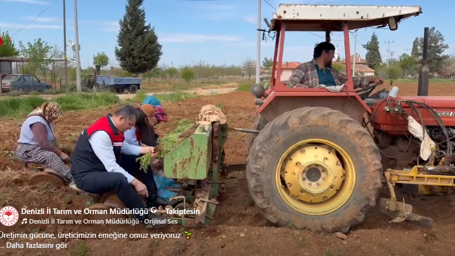 Denizli Haber Kekik-5