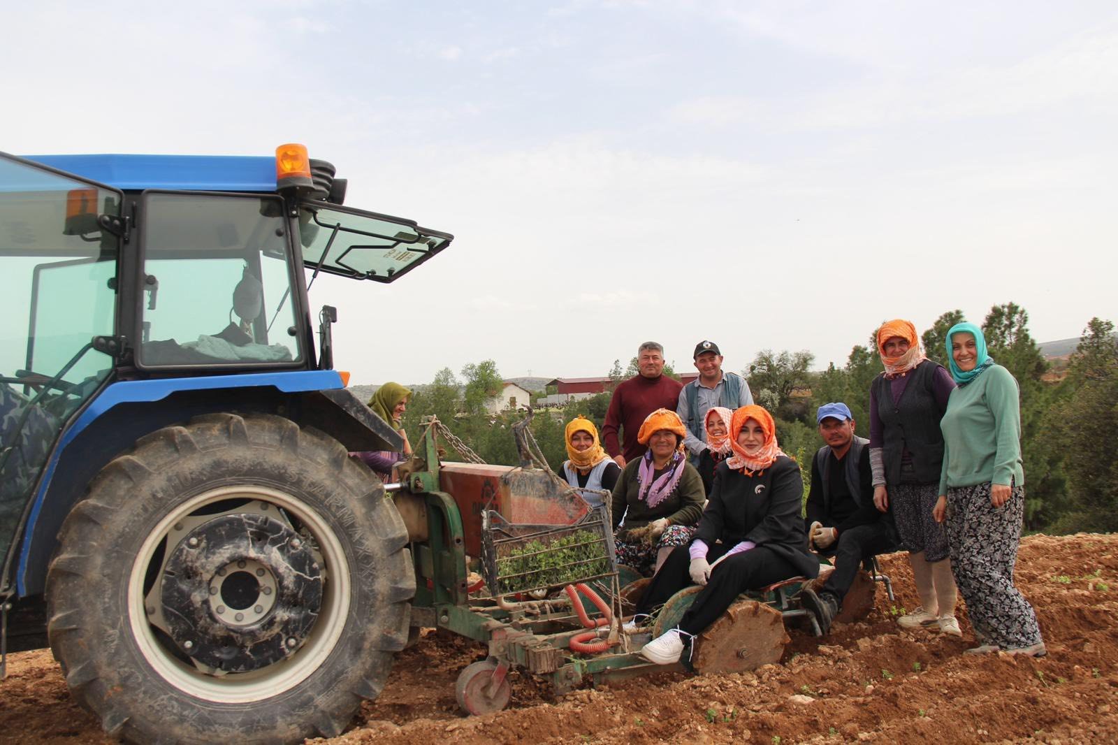 Deni̇zli̇ Haber Keki̇k Di̇ki̇mi̇ (2)