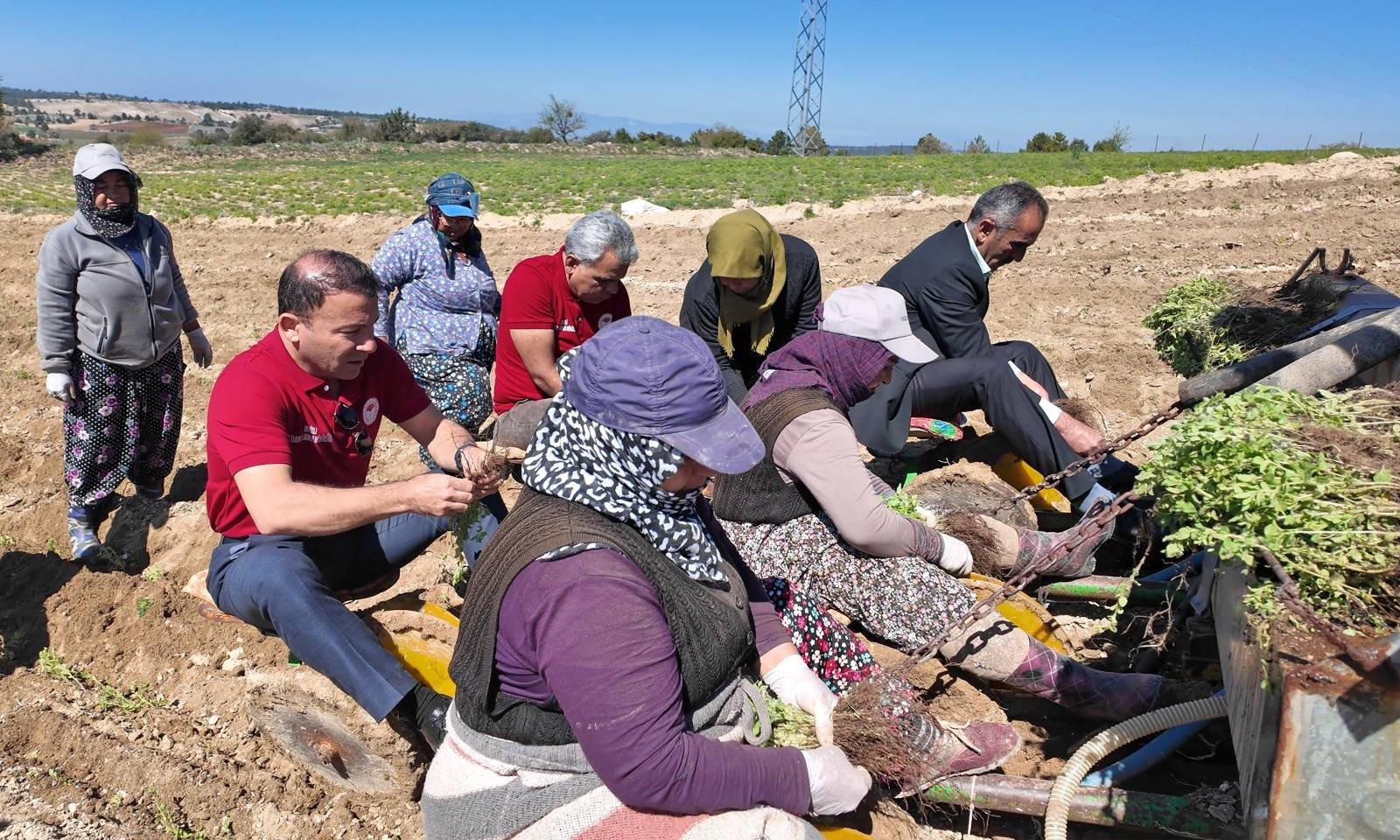 Denizli Haber Kekik Zayim (2)
