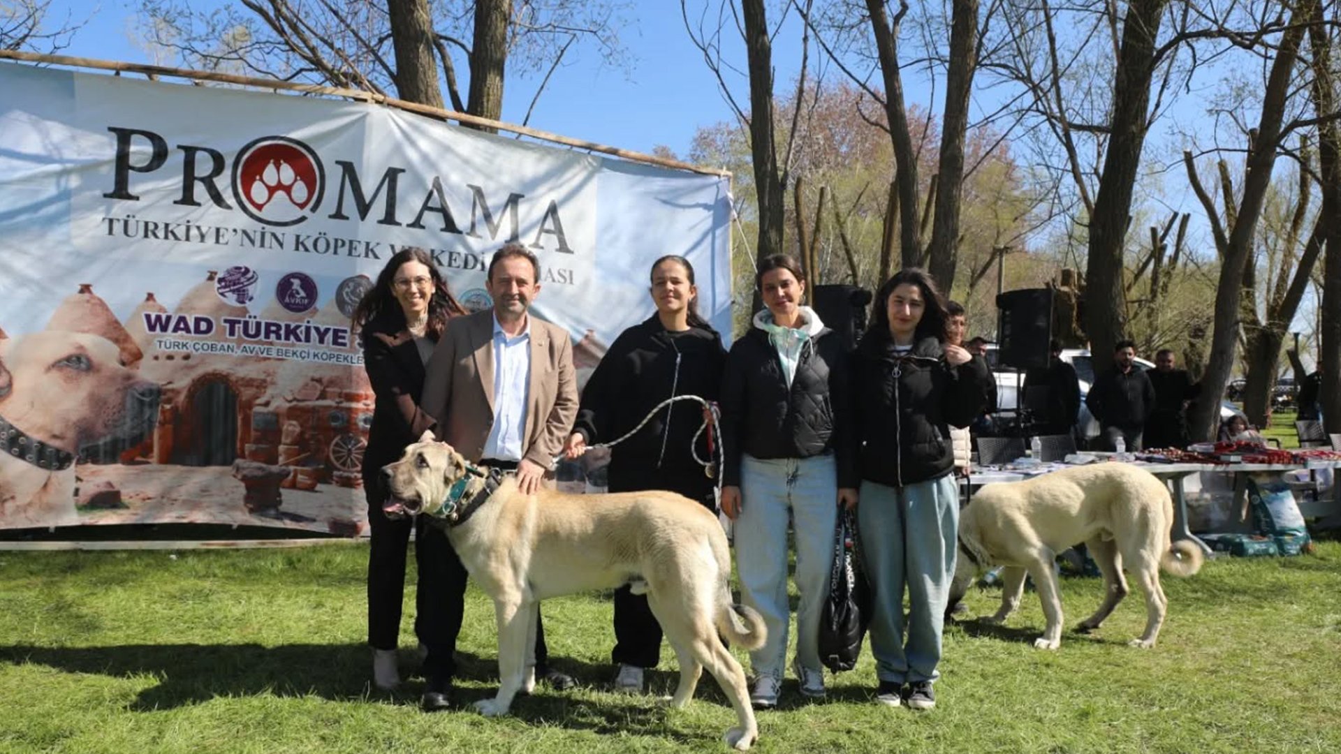 Denizli Haber Köpek (2)