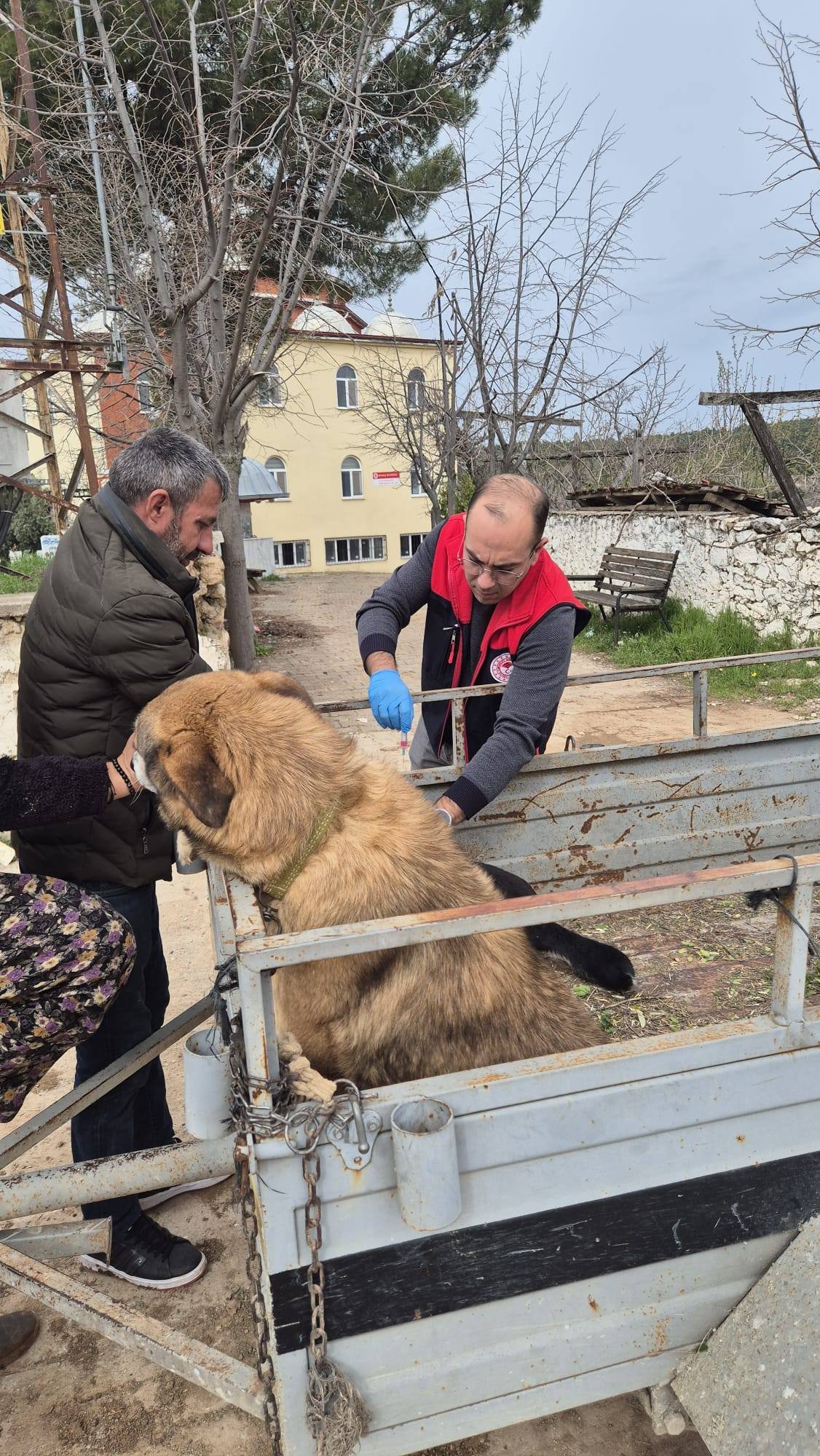 Denizli Haber Kuduz Aşailama (2)