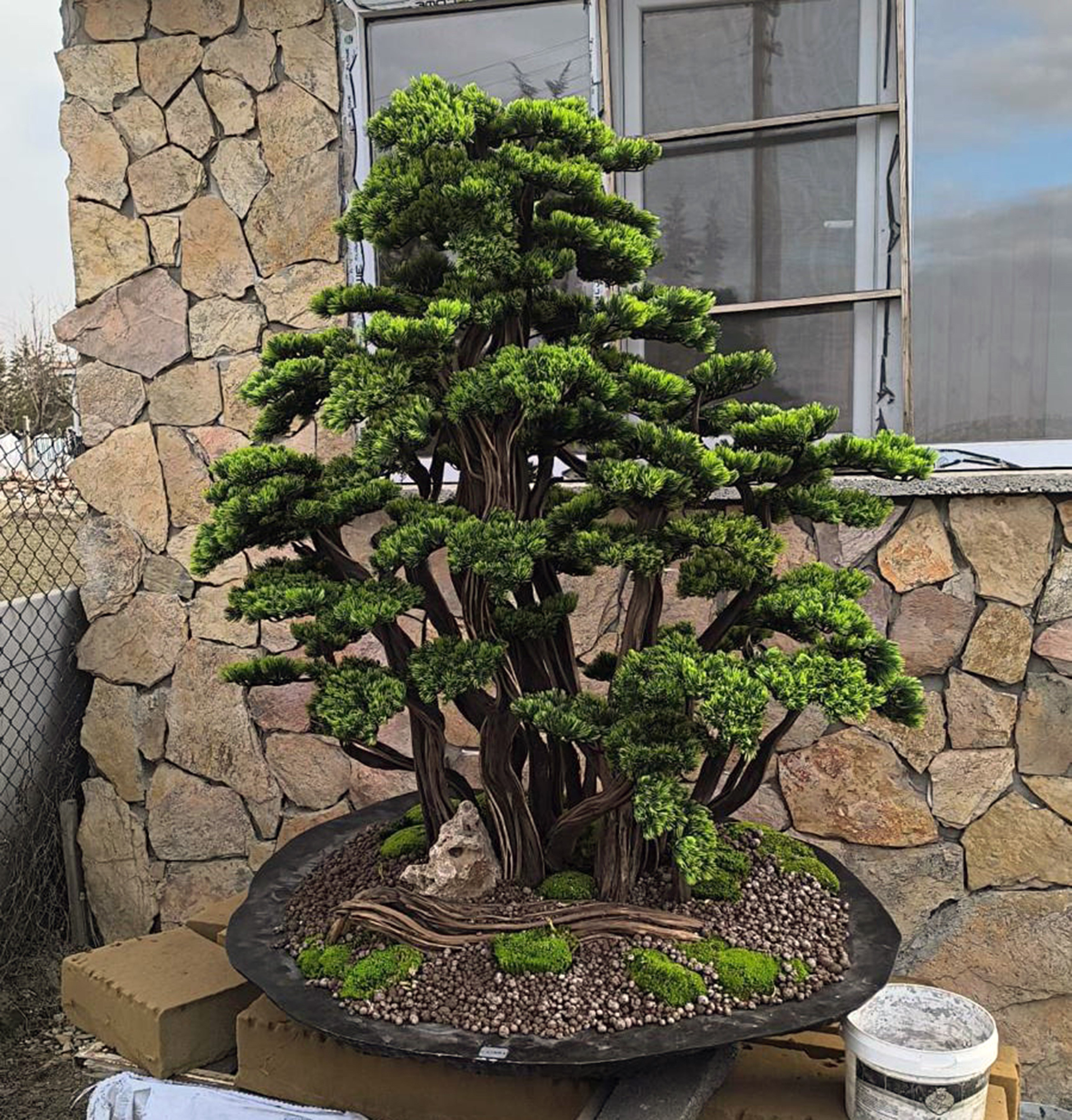 Denizli Haber Kurugeven (2)