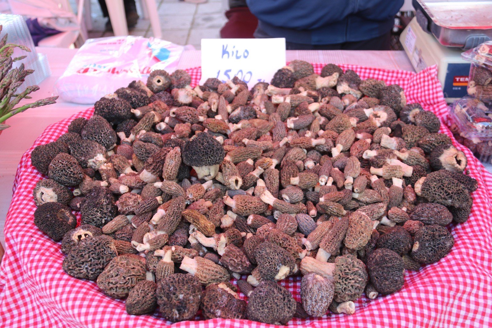 Denizli Haber Kuzugöbeği Festival (1)