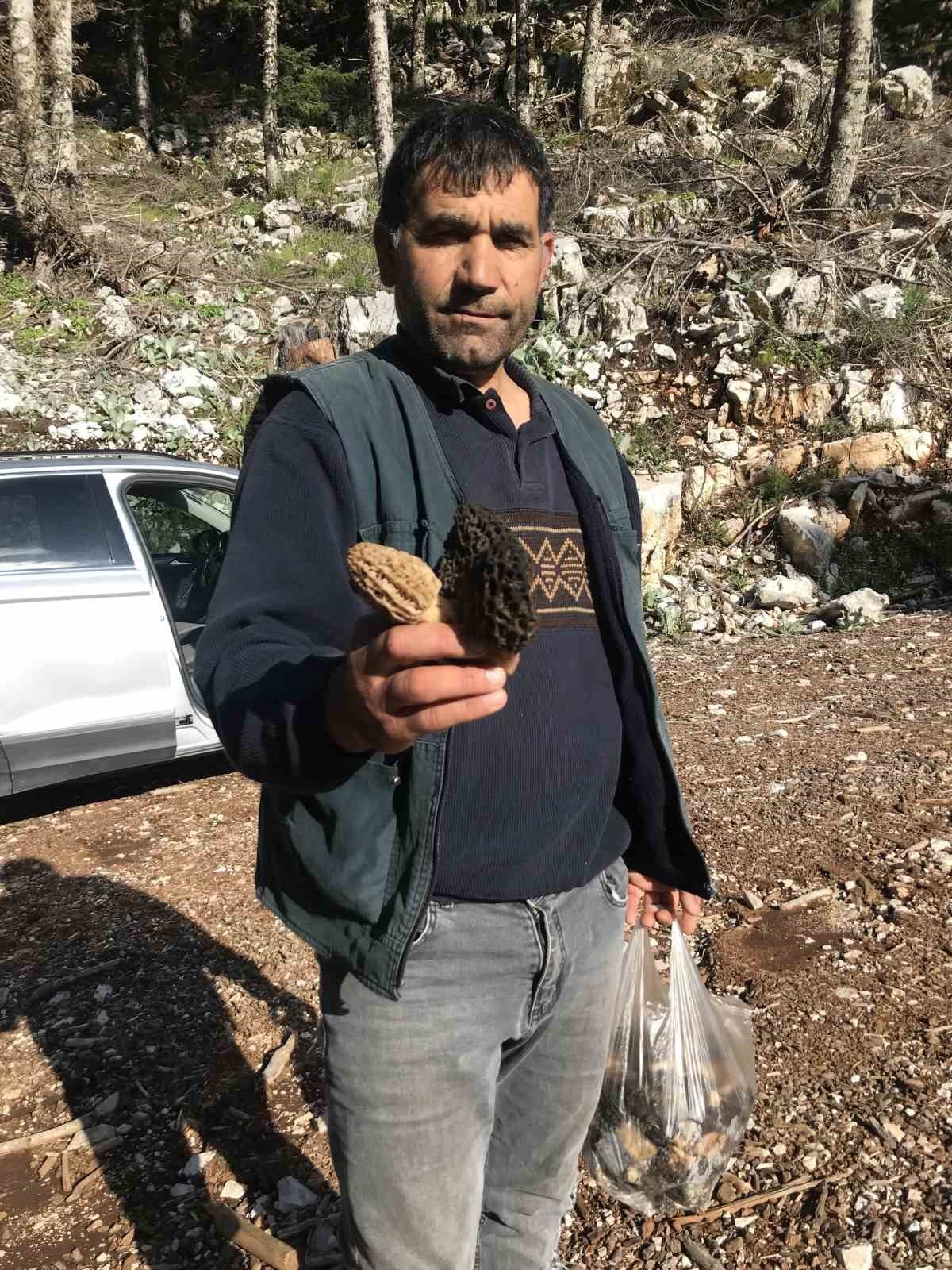 Denizli Haber Kuzugöbeği