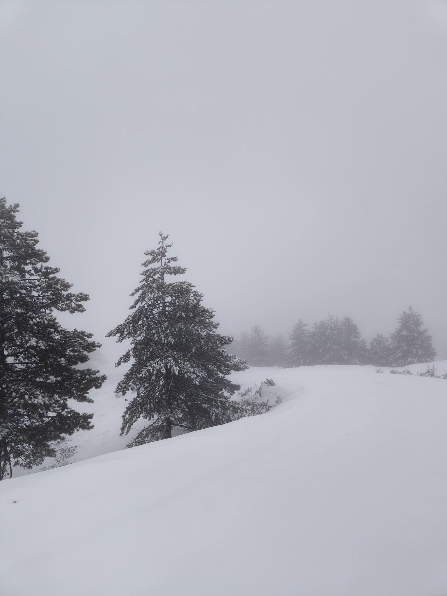 Denizli Haber Muğla Kar (1)-1