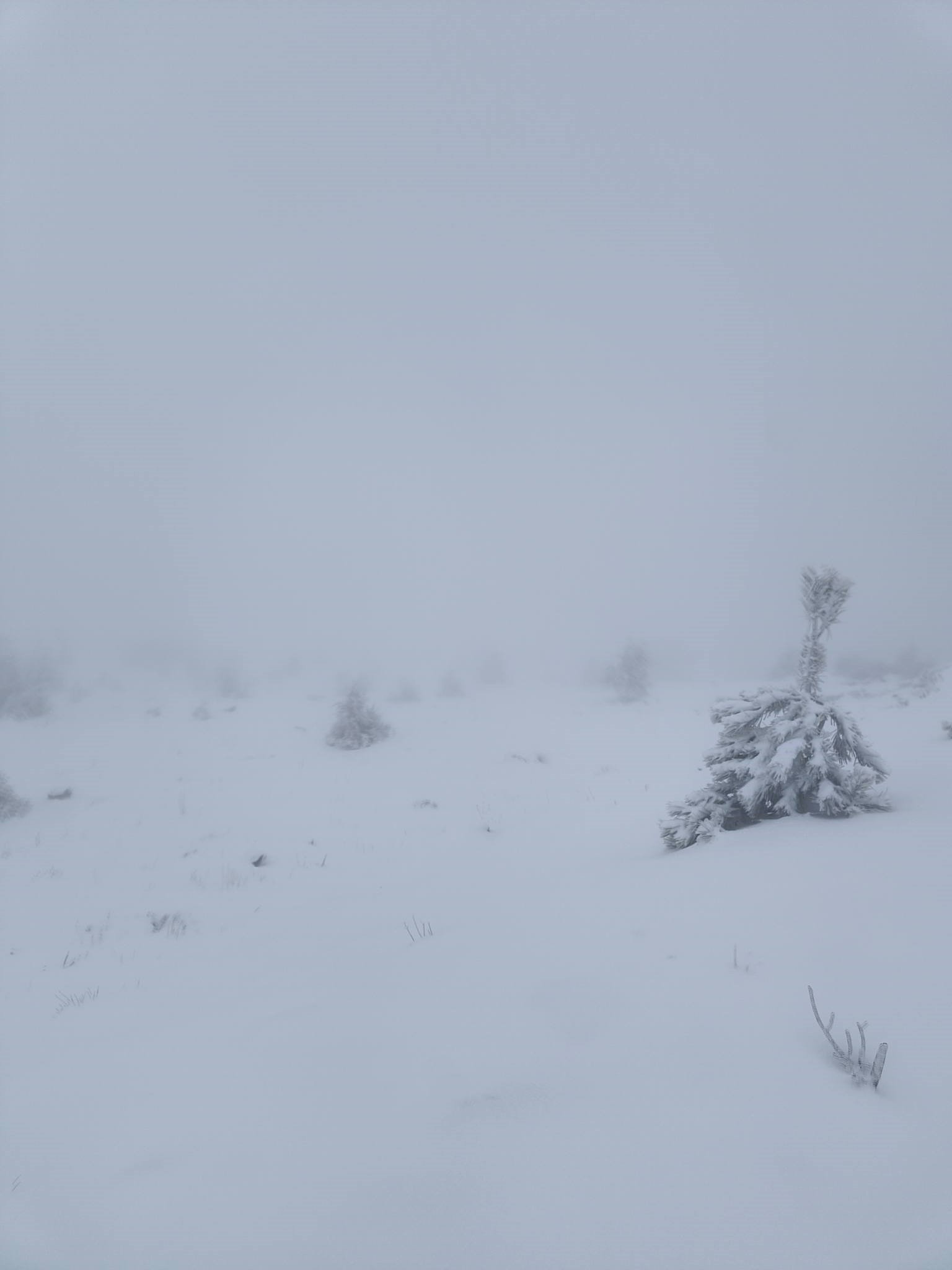 Denizli Haber Muğla Kar (2)-1