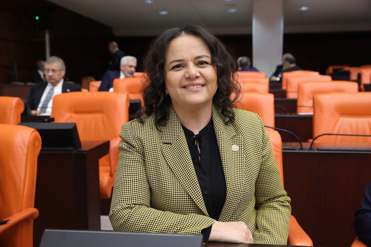 Denizli Haber Nilgün Ök Sosyal Hizmetler Kanunu 5