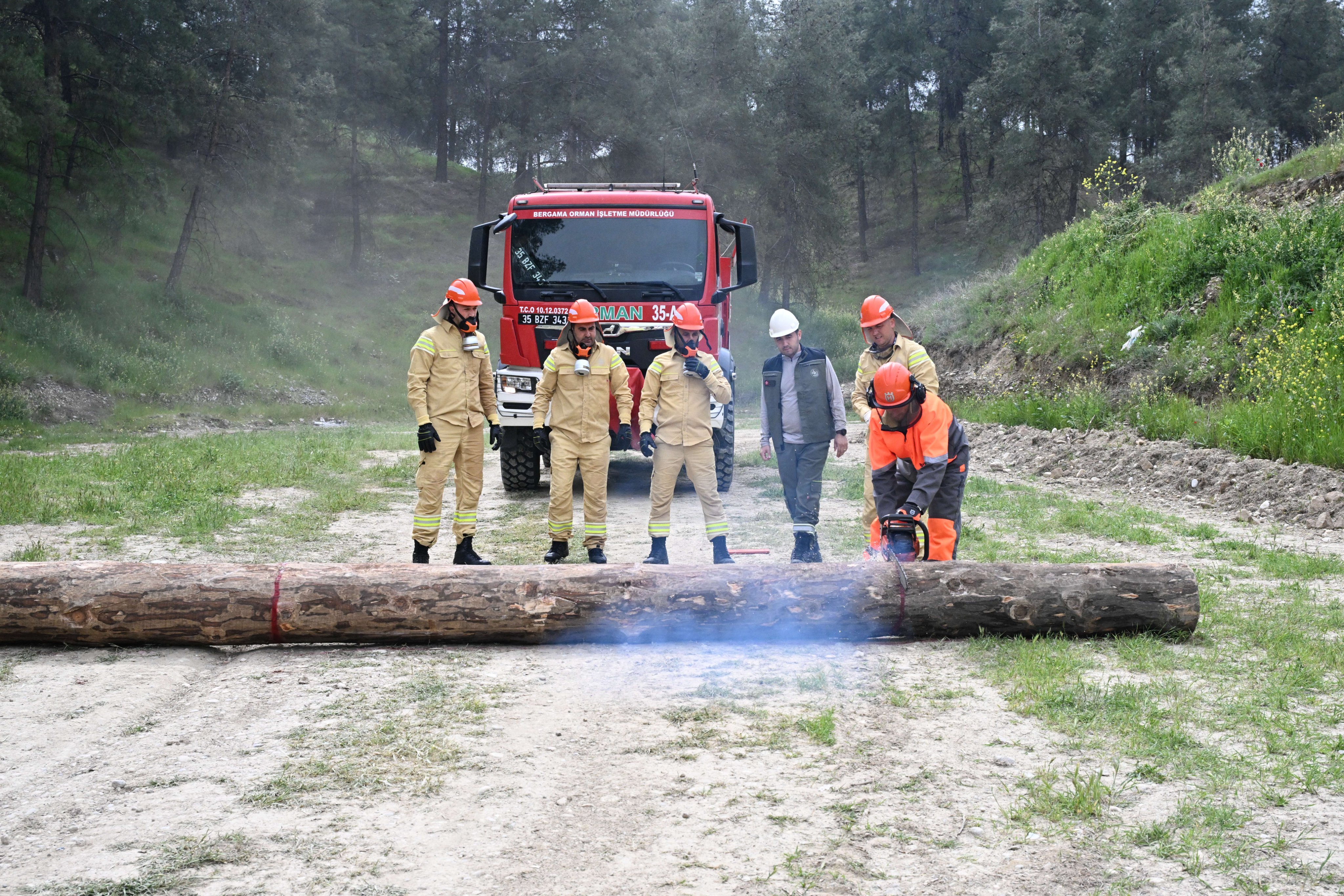 Denizli Haber Ormancilikr